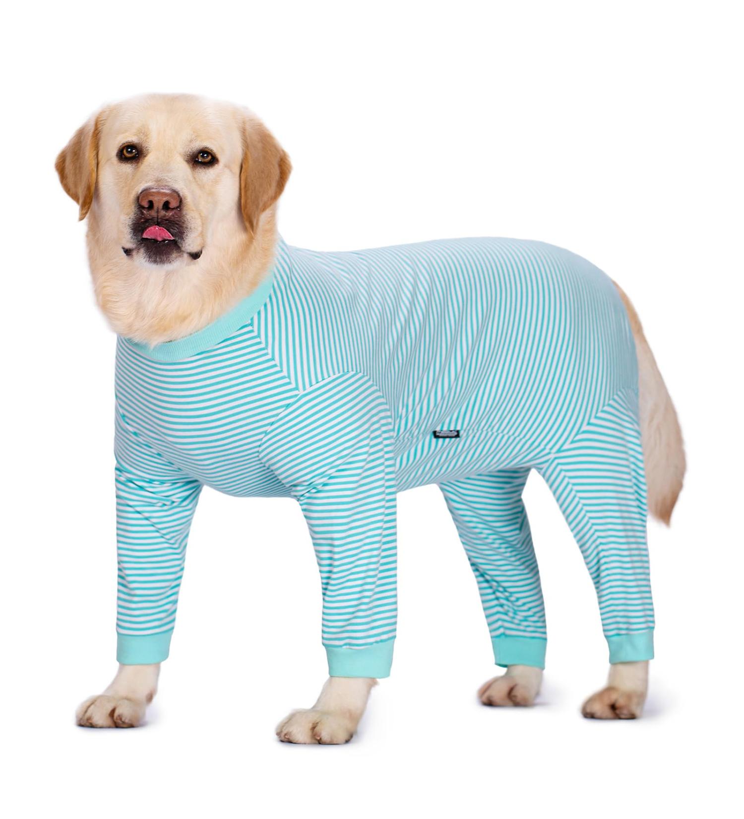 Axcimond Dog Body with Legs - Full Body Leak Protection for Large & Medium Dogs - Post-Surgery Castration Suit - Turquoise 5XL - Buy Online on GoSupps.com
