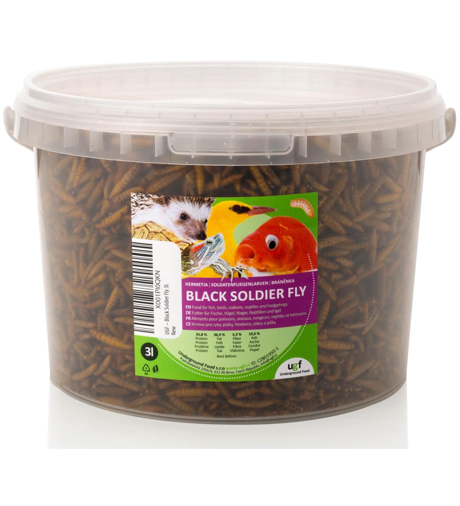 UGF Hermetia - Premium Dried BSFL Treats (3L) | 85x Calcium vs Mealworms | Ideal for Birds Turtles Rats & More - Buy Online on GoSupps.com