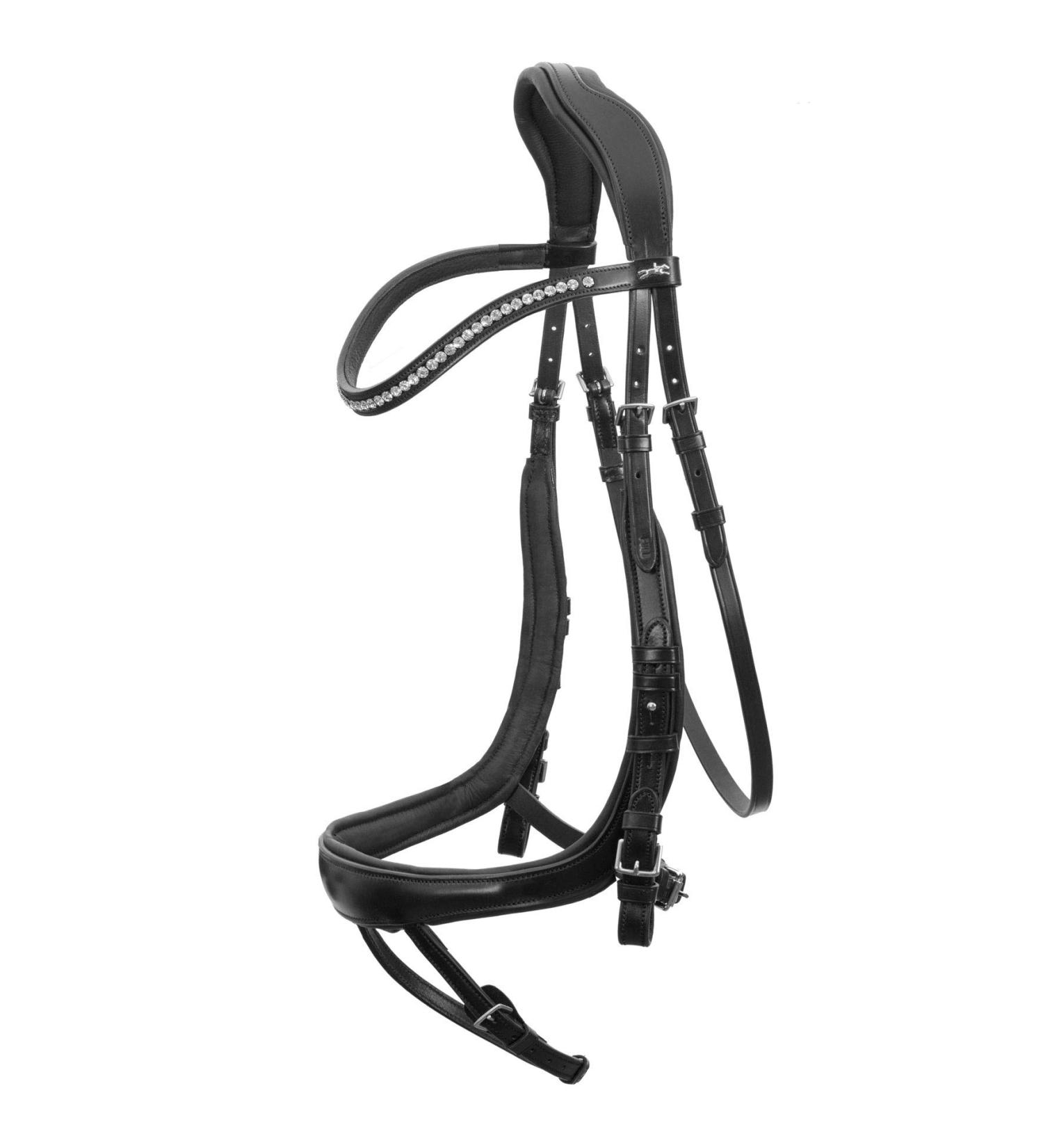 Buy Schockem hle EQUITUS BETA Anatomical Bridle - Black Silver WB | International Shipping Available - Buy Online on GoSupps.com