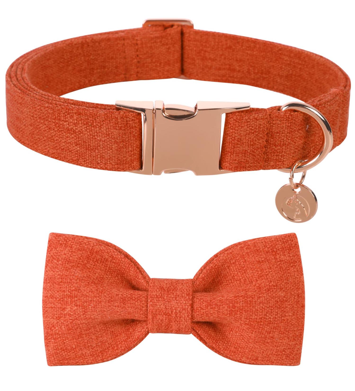 Dogwong Adjustable Dog Collar with Removable Fly - Light Blue & Orange | Comfortable Neck Collar for Small & Medium Dogs | Perfect Gift for Pet Lovers - Buy Online on GoSupps.com