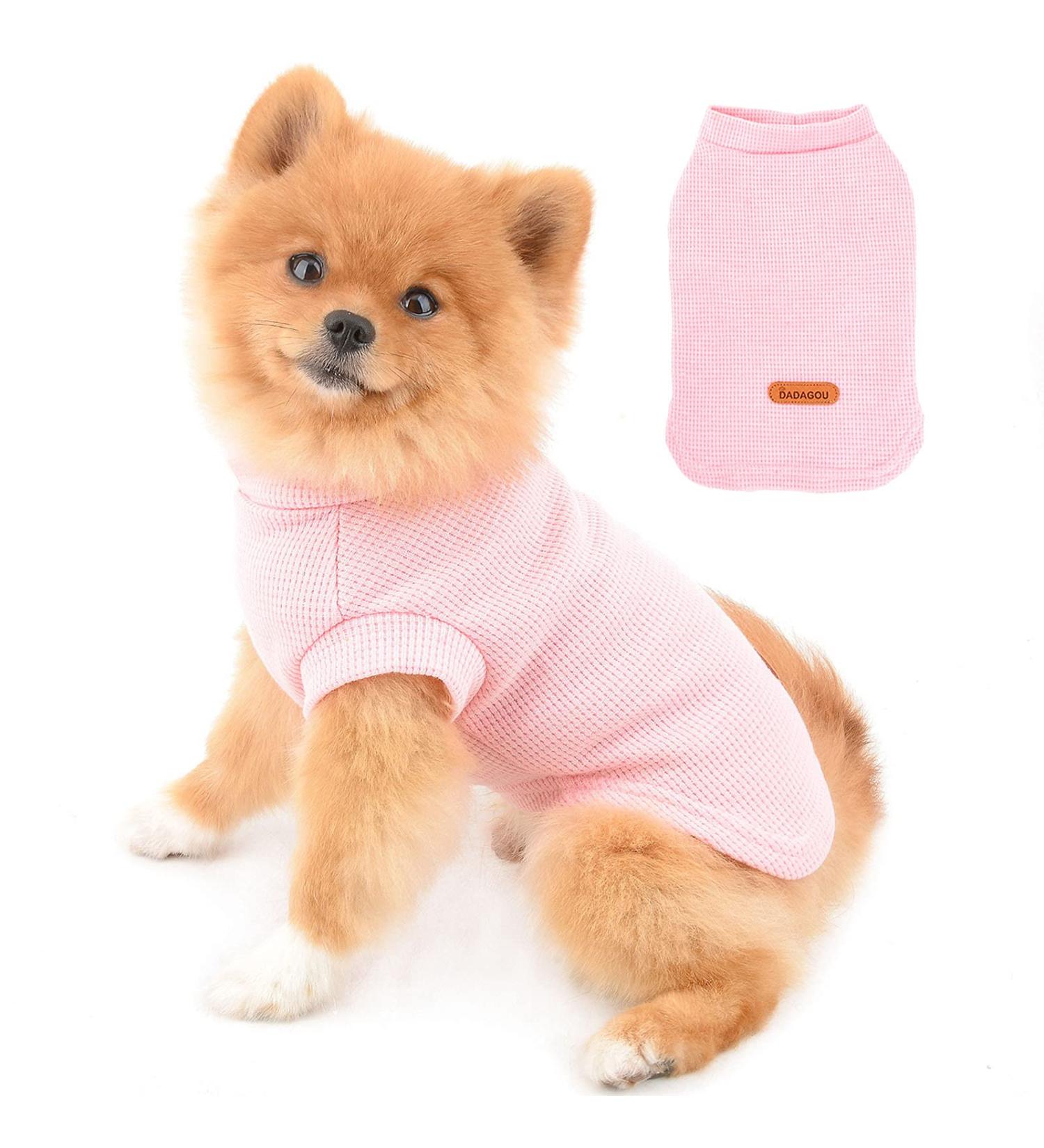 Paidful Pink Dog Shirts for Small & Medium Dogs | Soft Cotton Summer Vests | Breathable T-shirts for Puppies & Young Girls - Buy Online on GoSupps.com