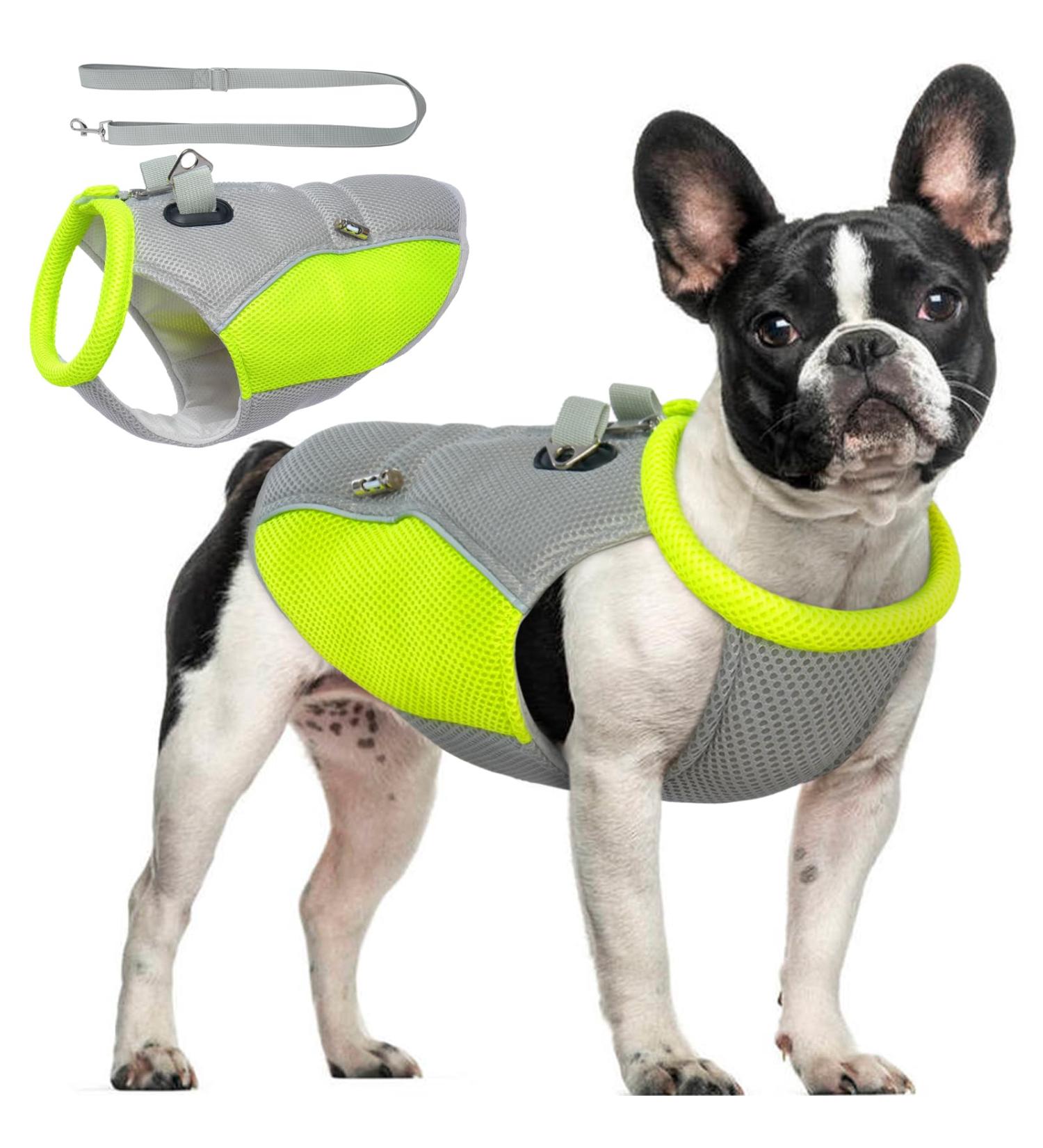 Hjyokuso Cool Vest for Dogs | Summer Cooling Jacket for Small Medium & Large Dogs | Ideal for Outdoor Activities & Training - Buy Online on GoSupps.com
