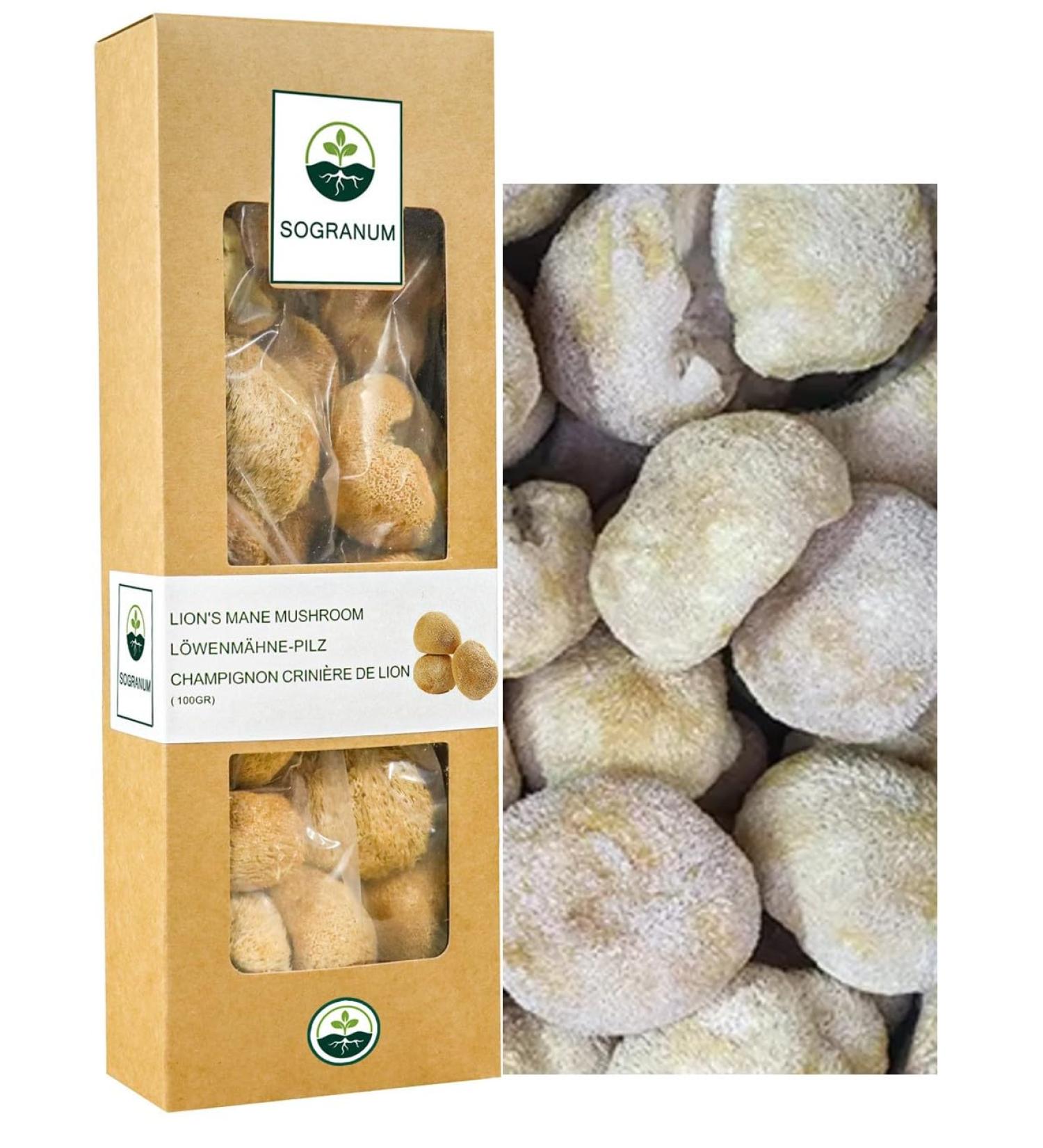 Mushroom Lion Mane 100 g | High in Protein - Texture Similar to Meat | Whole Mushrooms - Taste Quality - Buy Online on GoSupps.com