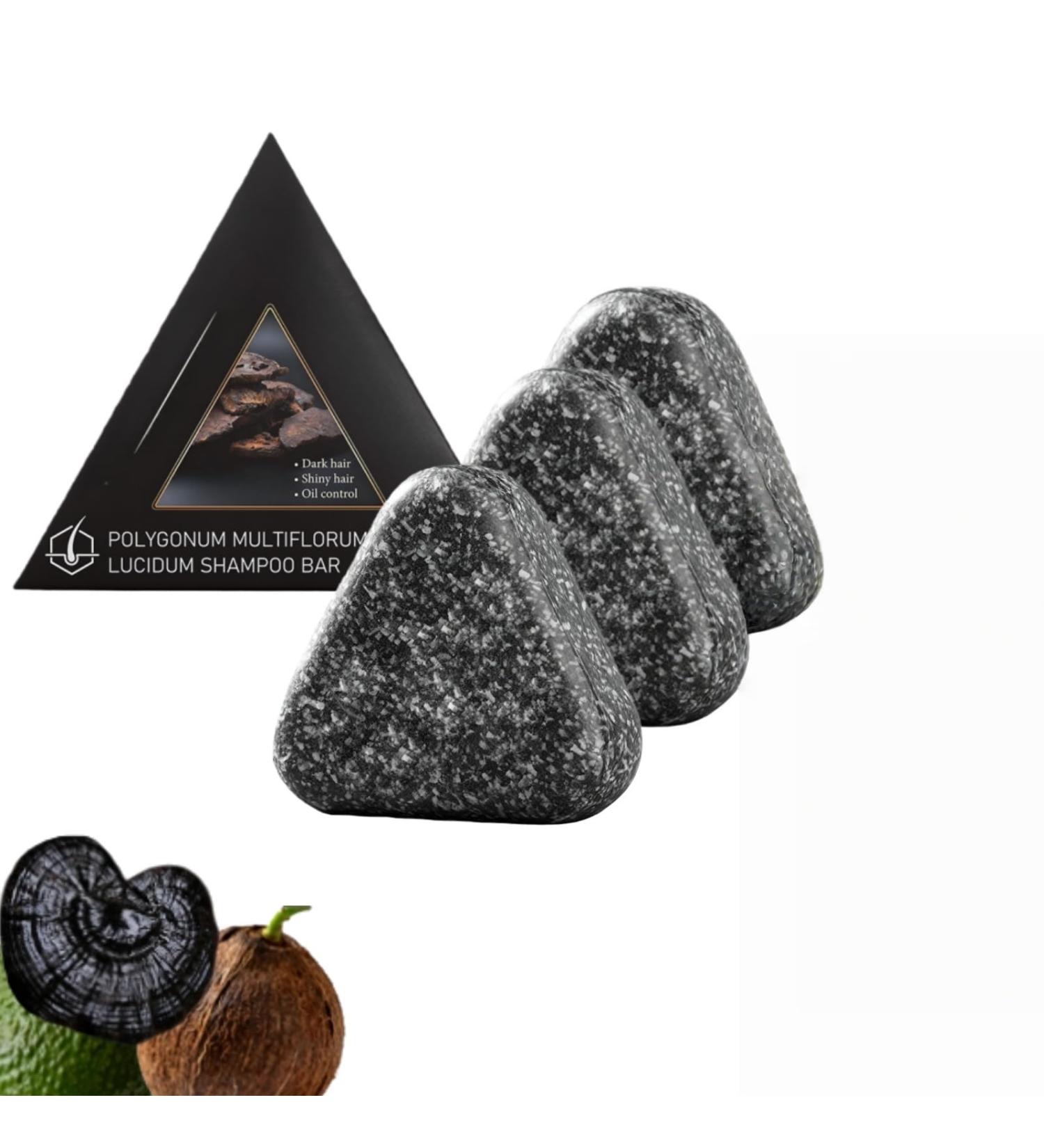 BRVLY Polygonum Multiflorum Shampoo Black Hair Soap AntiHair Loss & Thickening for Thinning Hair Shampoo & Conditioner Bar for Older Women Deep Cleansing for Scalp 3 - Buy Online on GoSupps.com