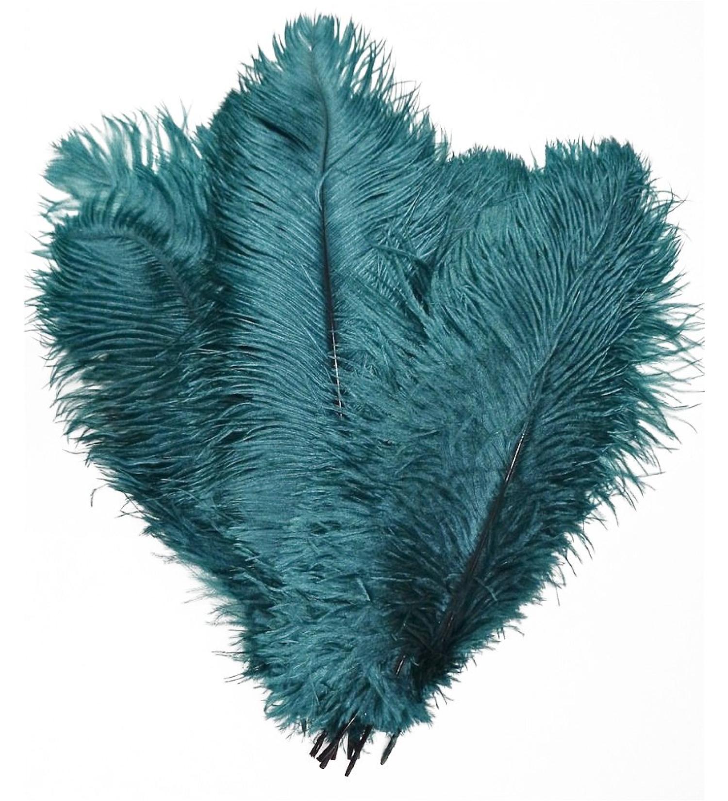 CENFRY 10pcs Ostrich Feathers 10inch Plumes for Wedding Centerpieces Home Decoration (Teal)