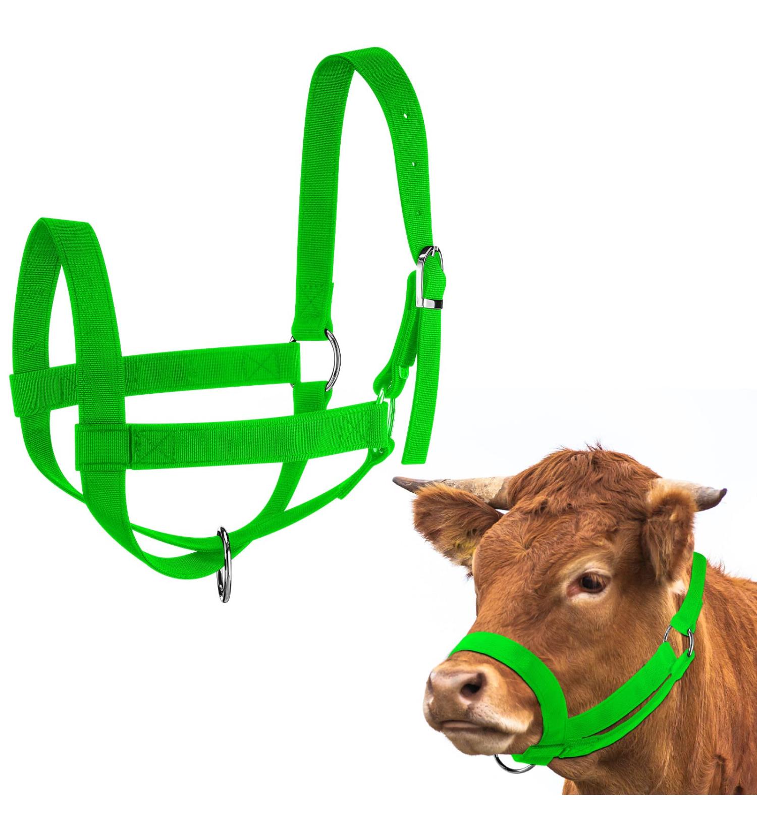 Adjustable Nylon Livestock Cattle Halter with Chin and Throat Snap - Small Green - Buy Online on GoSupps.com