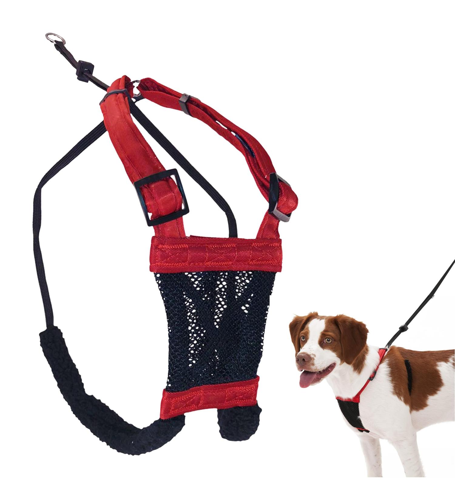 Dog Harness - No pull and No choke humane Design Non Pulling Pet Harness with Mesh vest Easy Step-in Adjustable Mesh Harness for control Red Medium by Sporn Medium Red - Buy Online on GoSupps.com