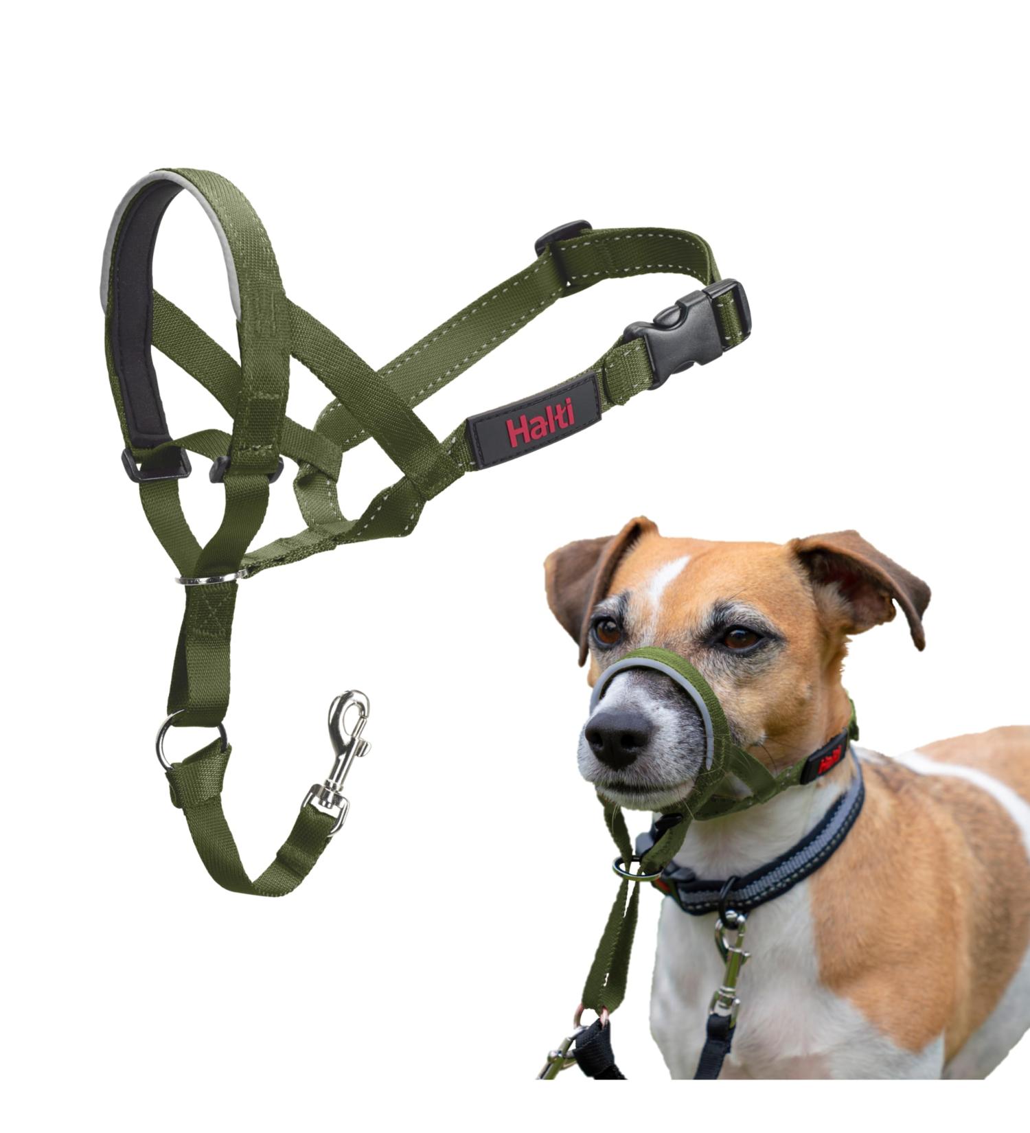 Halti Head Harness for Small Dogs - Prevent Pulling Light & Adjustable Padded Nose Strap Anti-Train Neck Band - Forest Green (Size 1) - Buy Online on GoSupps.com
