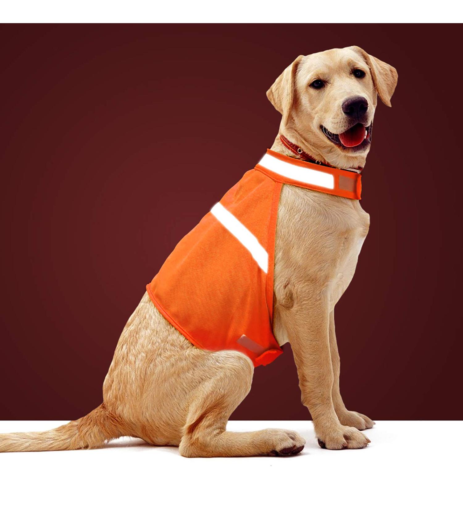 High Visibility Reflective Dog Vest for Small, Medium, Large Dogs - Orange - Medium Size - Buy Online on GoSupps.com
