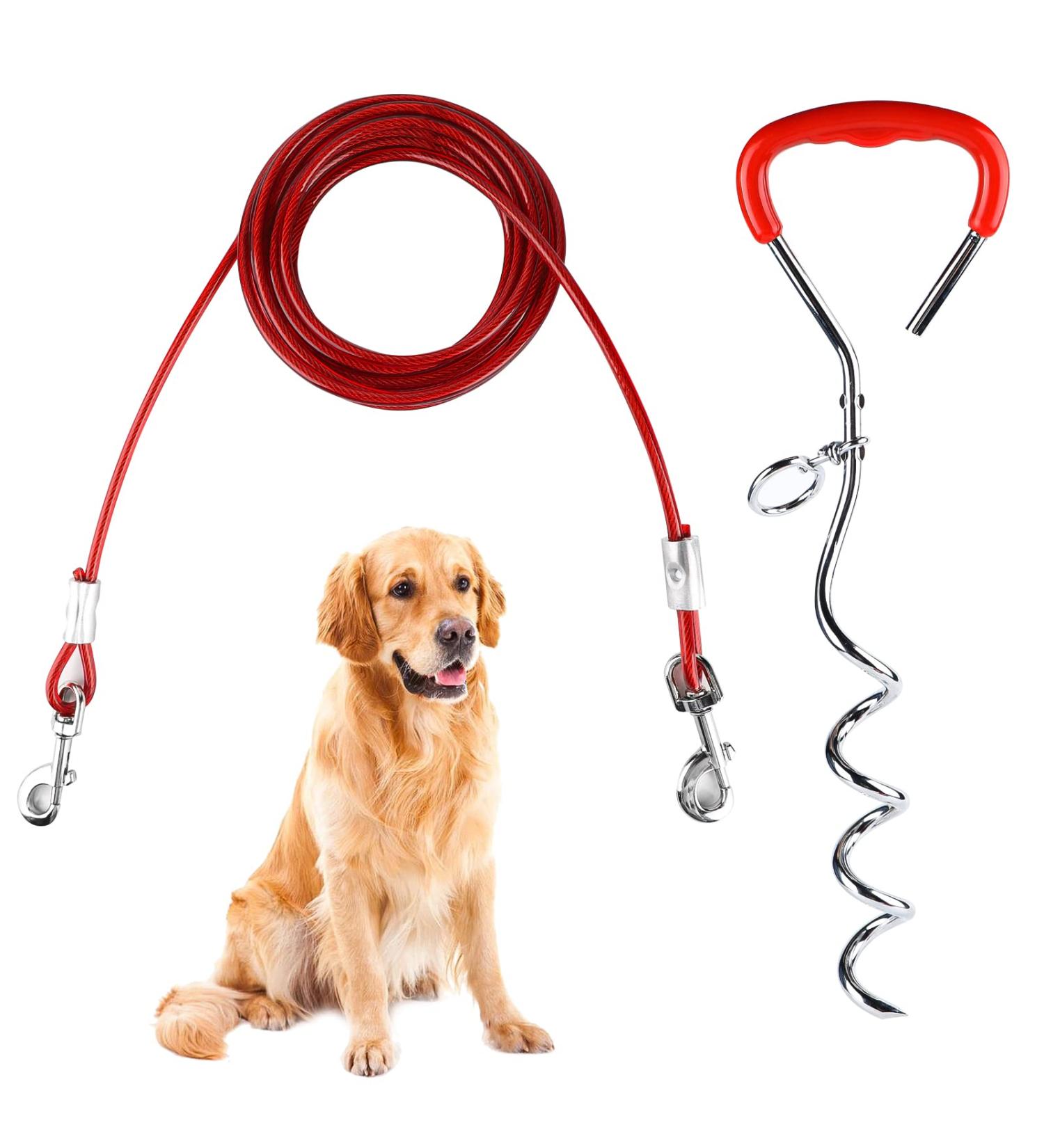 EfuturTime Large Dog Plot with 6m Leash | Durable Base Piral Anchor for Outdoor Camping & Farm | Perfect for Small to Large Dogs - Buy Online on GoSupps.com