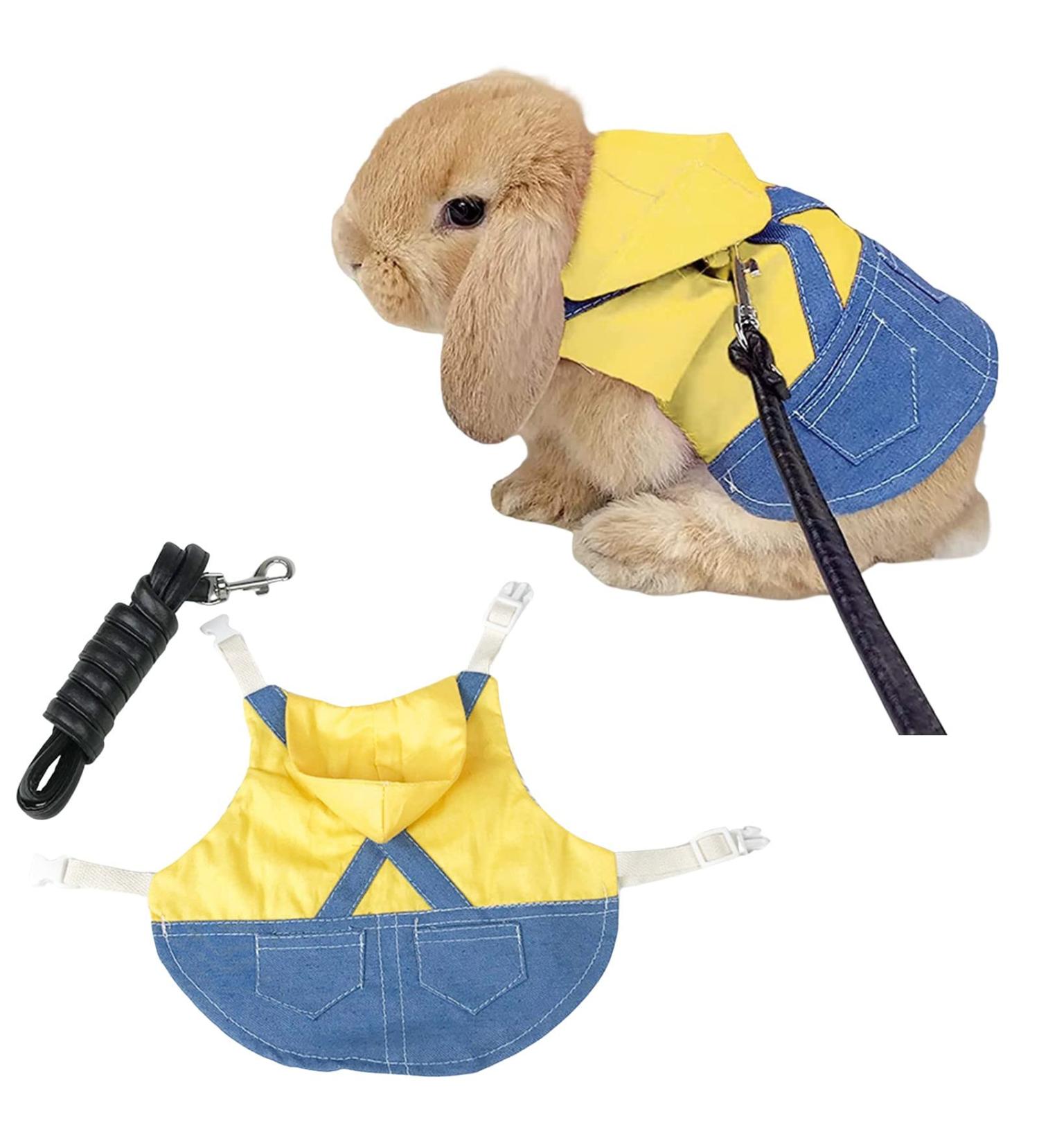 Adjustable Soft Rabbit Dishes & Leash Set | Pet Rabbit Dishes for Small Animals - Yellow (M) - Buy Online on GoSupps.com