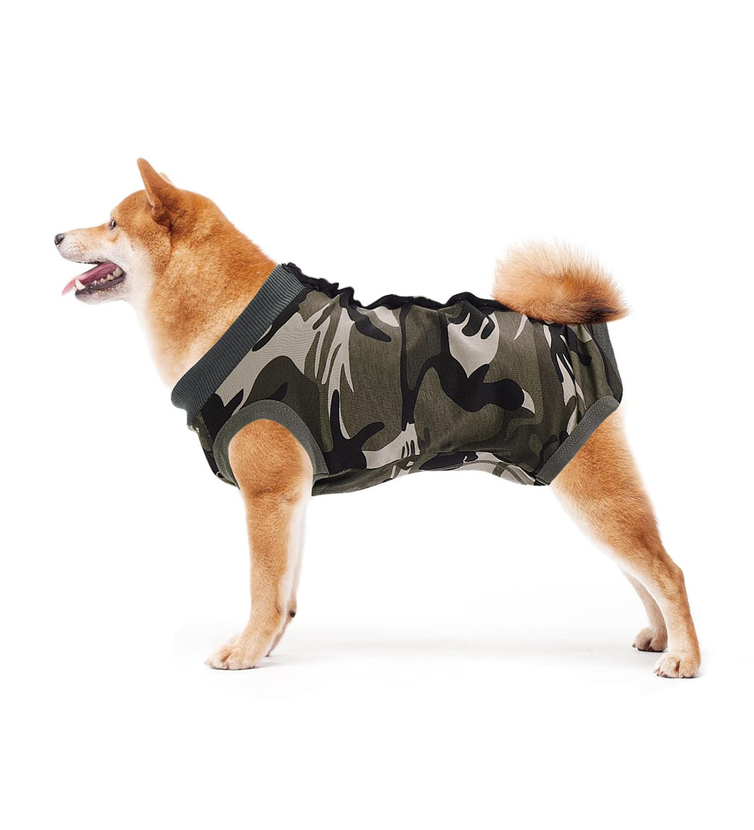 Cobee Dog Recovery Suit - Abdominal Wound Protection for Male Dogs | Post-Operative Snug Fit | L-Size Camouflage - Buy Online on GoSupps.com