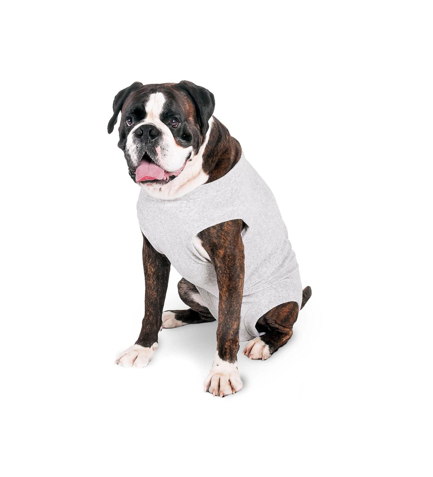 Karlie Safety Body - Medical Care Cotton Grey 48 cm | International Shipping Available - Buy Online on GoSupps.com