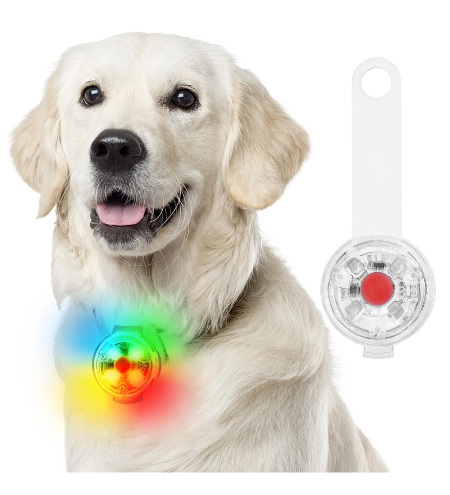 FTTouuy Safety LED Flashing Light for Dogs & Cats - USB Rechargeable Waterproof Colorful Pet Safety Light for Night Walks | International Shipping Available - Buy Online on GoSupps.com