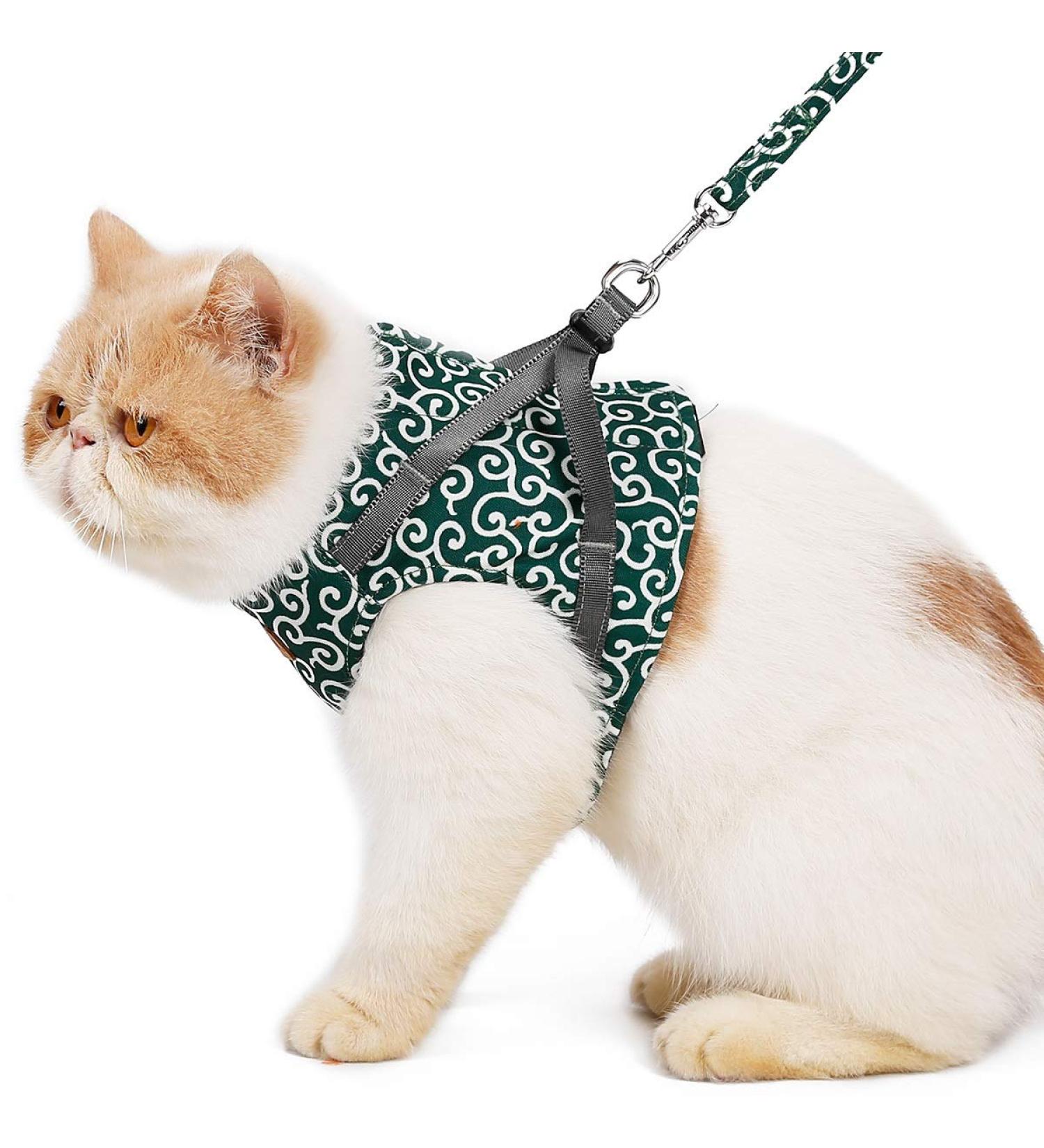 Etopars Cat Dishes & Leash Set | Adjustable Cat Vest & Outbreak-Proof Harness for Kittens & Puppies - XS Green - Buy Online on GoSupps.com