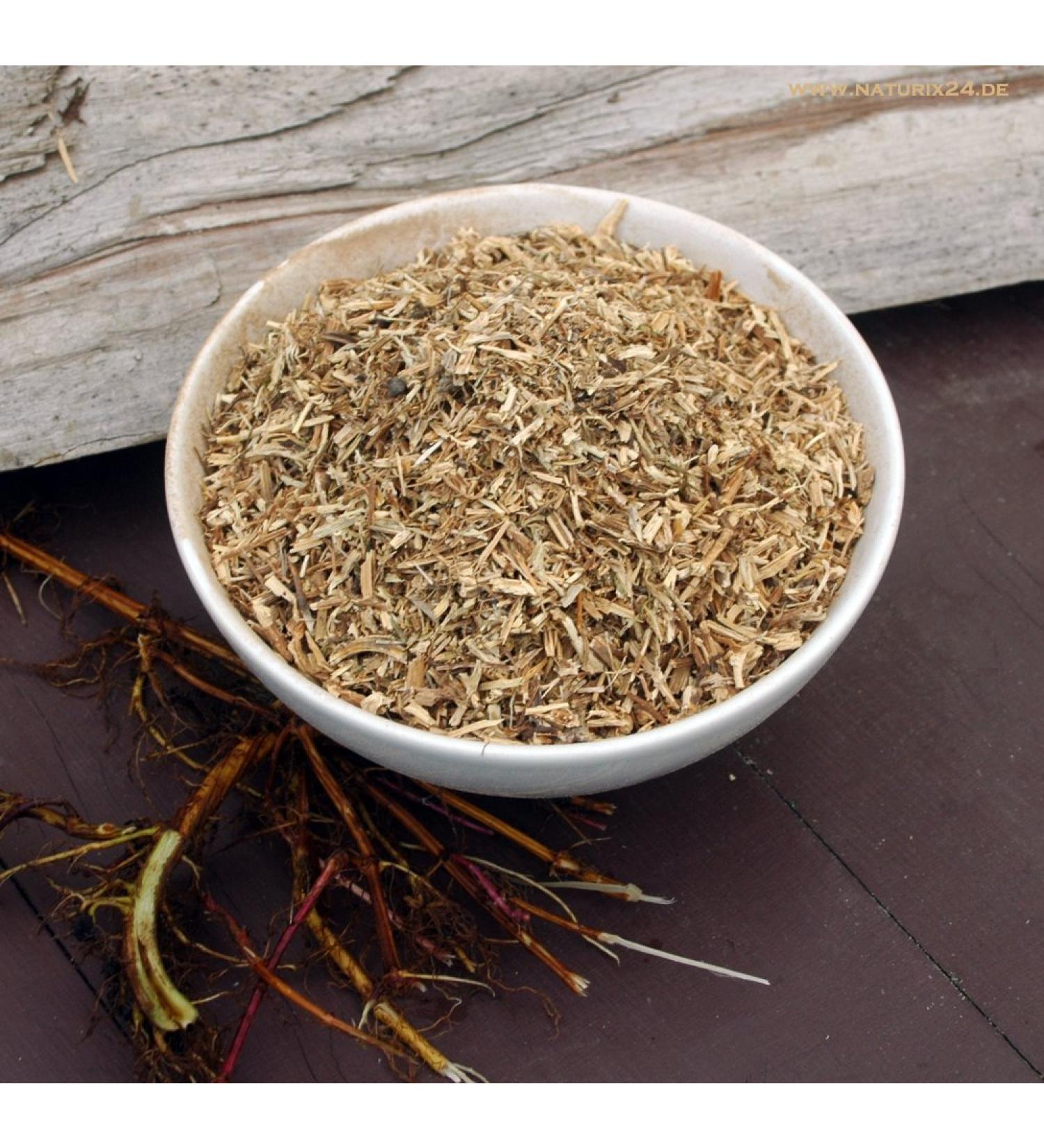 Naturix24 Naturix24 Nettle cut - Bag (1 x 1 kg)