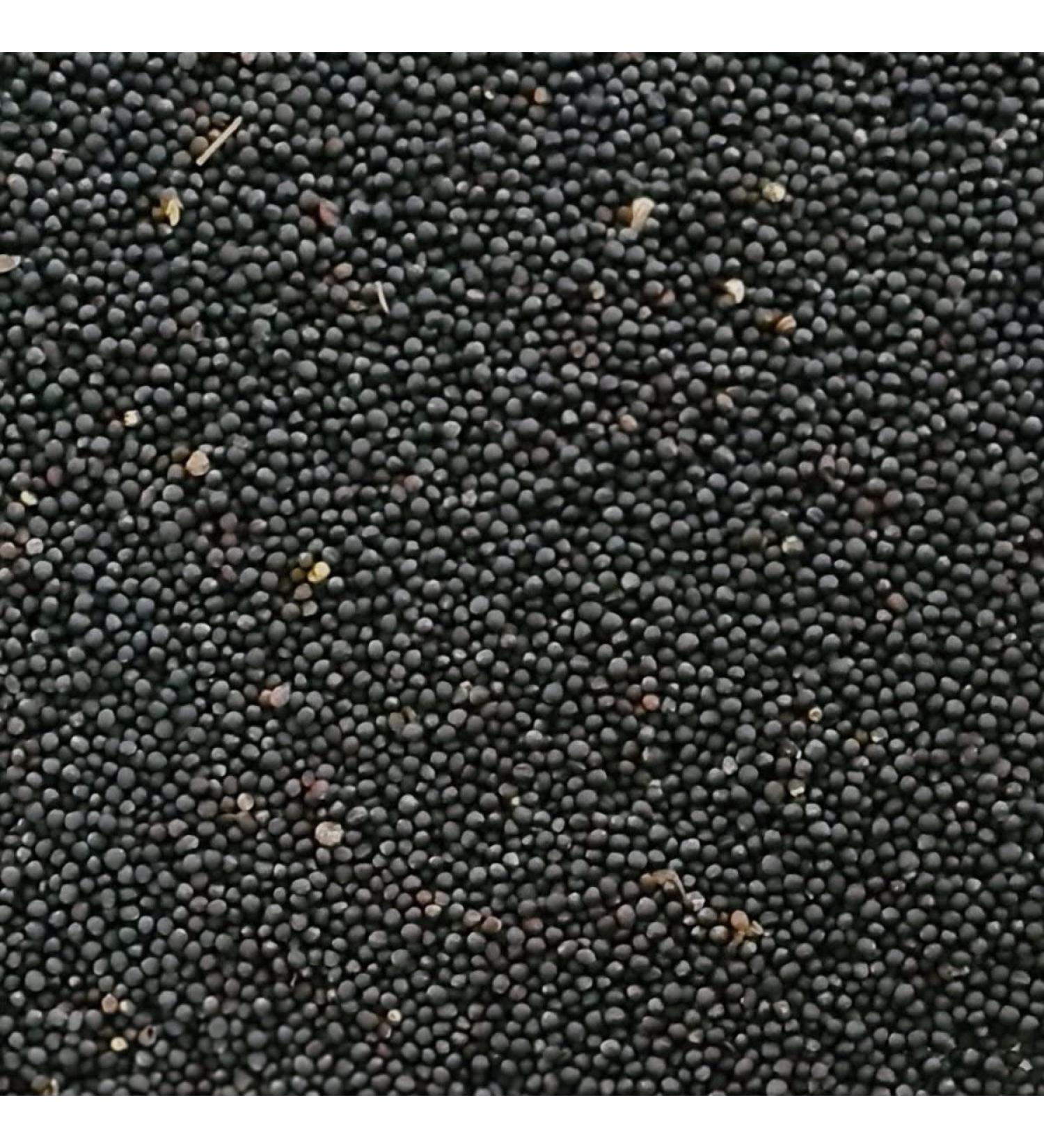 Buy Rohstoffpost 5 kg Rapeseed for Heat Pads | Natural Heat Therapy Pillow - International Shipping Available - Buy Online on GoSupps.com