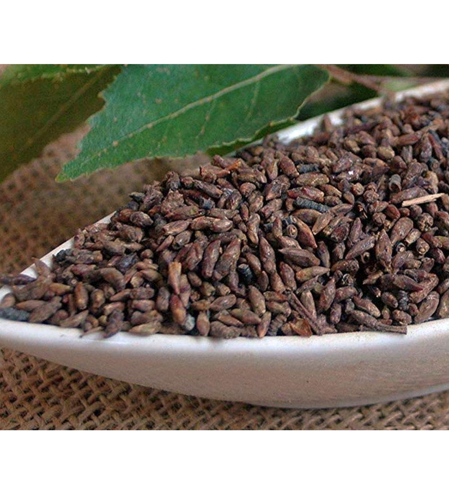 Krauterino24 Krauterino24 - Whole Birch Buttons Birch Tea (250g)
