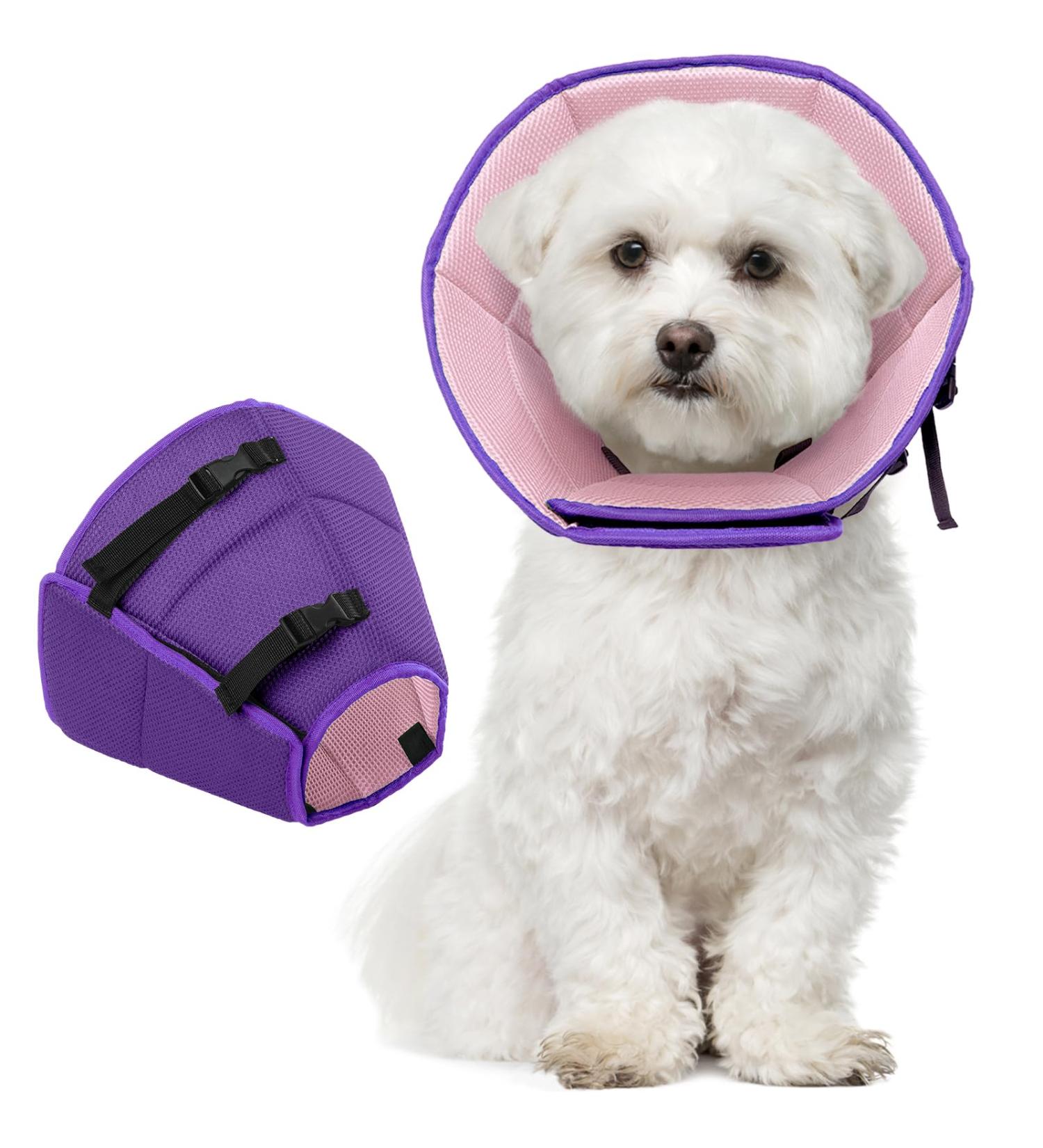 Kuoser Rechenrause Dog Collar - Adjustable Leak Protection & Comfort for Dogs (28-36cm Purple) - Buy Online on GoSupps.com