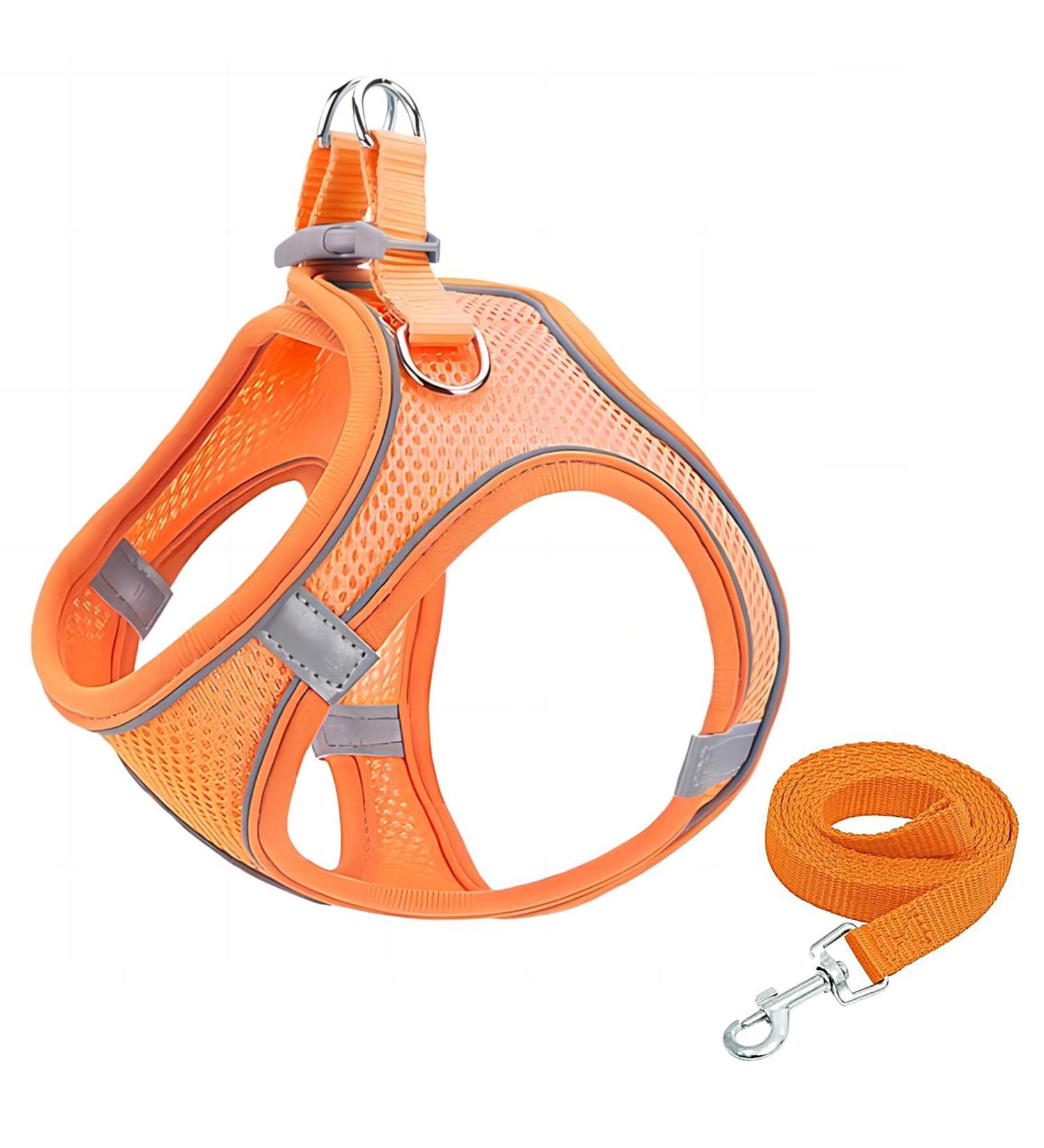 Shop Giapinst No Pull Dog Harness for Small Dogs - Adjustable Safety with Breathable Mesh & Reflective Stripes | Medium Size (M) in Orange - Buy Online on GoSupps.com