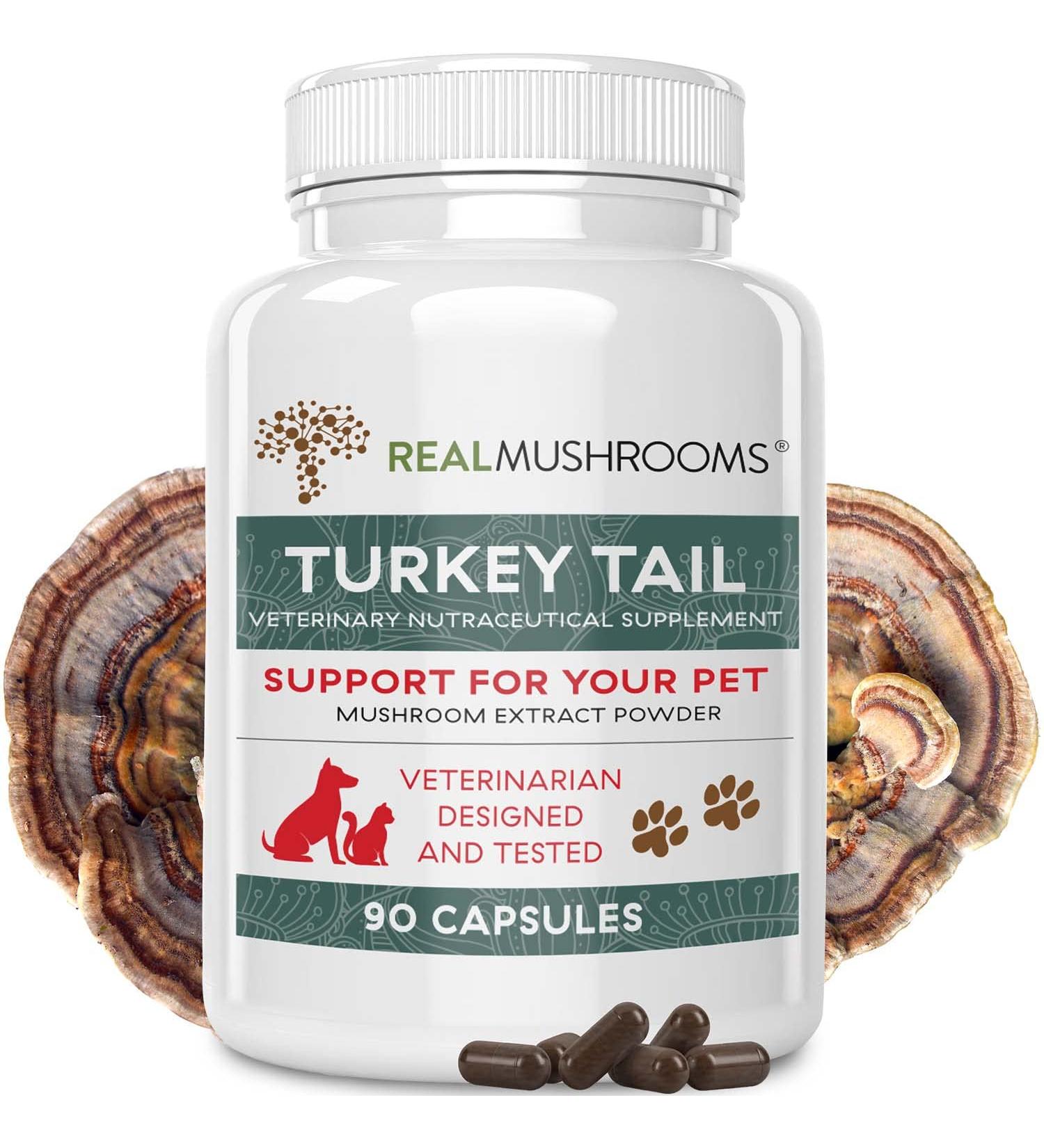 Turkey Tail Pet Support - Vet-Approved Dog Multivitamins for Immune & Gut Health (90ct) - Buy Online on GoSupps.com