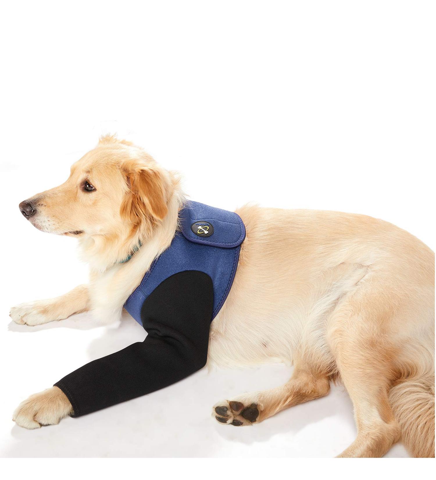 COOUTO Dog Recovery Suit - Abrasion-Resistant Waterproof Washable Sleeve for Pets | Prevent Wounds & Keep Dogs Dry (Size L) - Buy Online on GoSupps.com