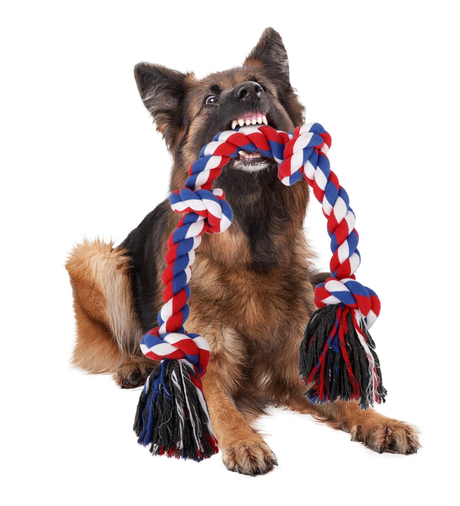 Viewlon Robust Dog Toy Rope - Interactive 75cm Chew Toy for Small/Medium Dogs | Durable 4 Knots | Aggressive Chewing & Dental Cleaning - Blue - Buy Online on GoSupps.com