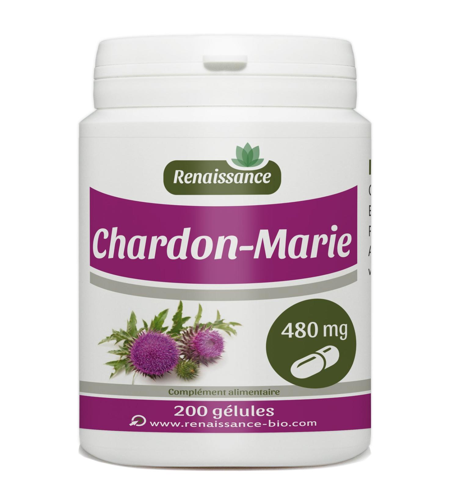 Milk Thistle - 480 mg - 200 capsules - Buy Online on GoSupps.com