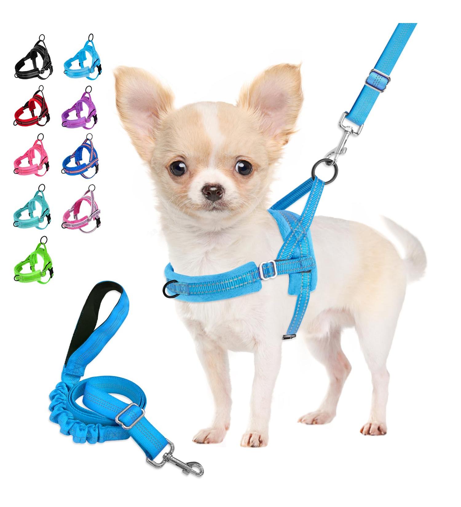 Eyin No-Pull Dog Harness with Leash & Soft Padded Reflective Adjustable Vest for Puppies Small & Large Dogs - Light Blue XS - Buy Online on GoSupps.com