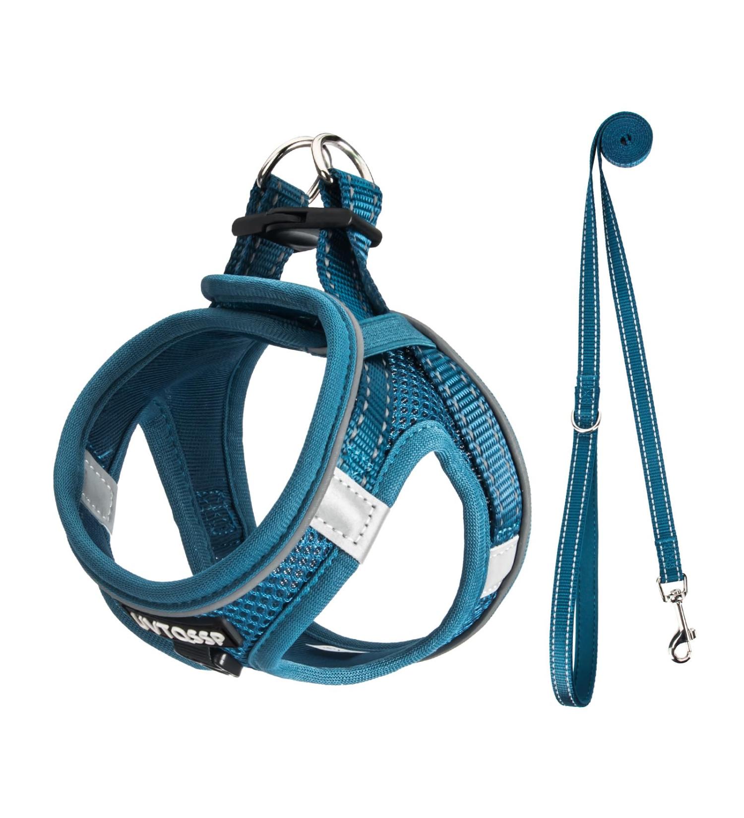 Uvtqssp Dog Harness for Small Dogs with Leash | Padded Puppy Dishes & Indigo Blue Harness Set - Buy Online on GoSupps.com