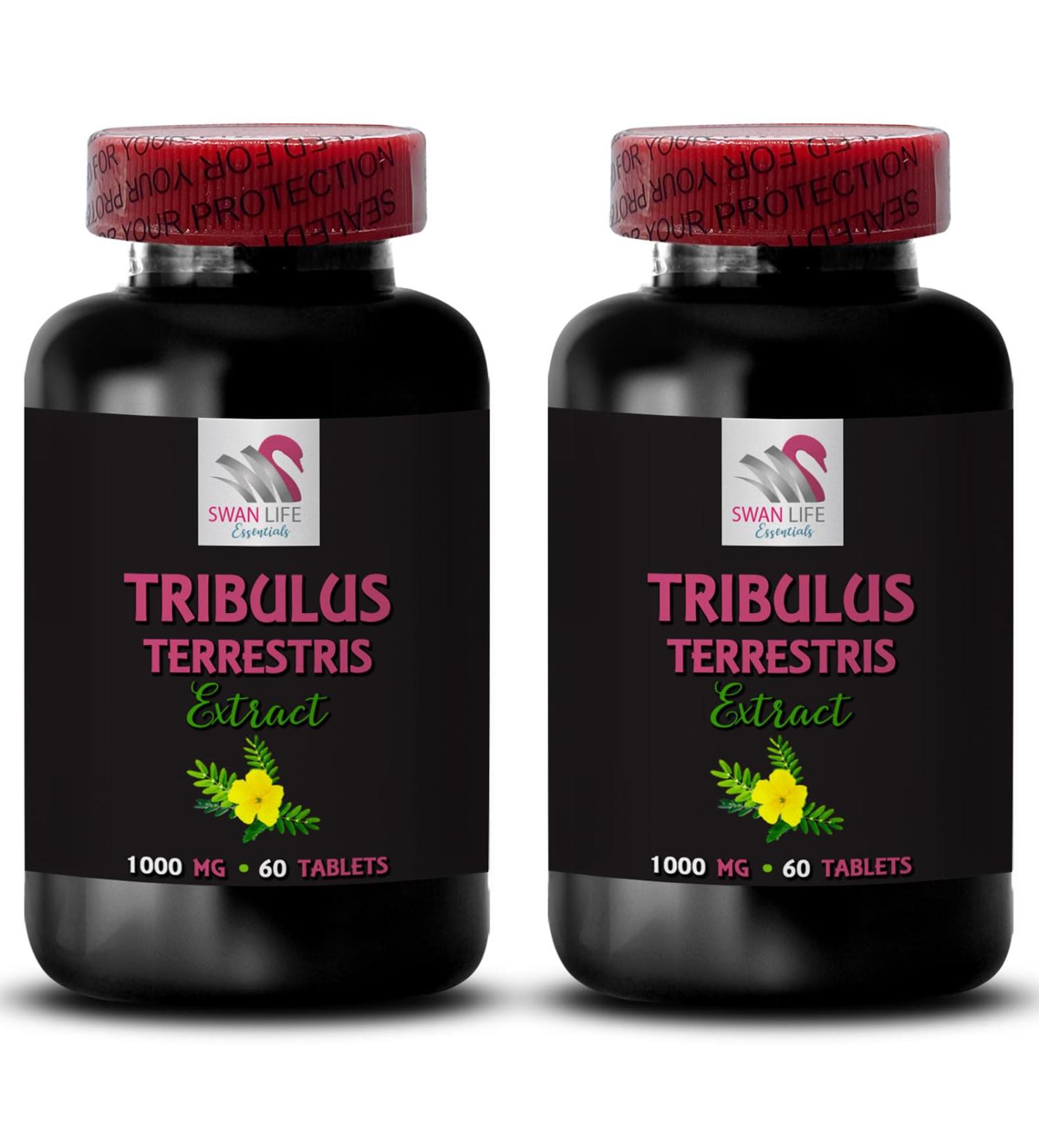 Body Power - TRIBULUS TERRESTRIS EXTRACTS - Natural Strength Surge Active Energy Source Physical Support Muscle Boost Pure Energy Formula Strength Dynamic Power 2 Bottles 120 Tablets - Buy Online on GoSupps.com