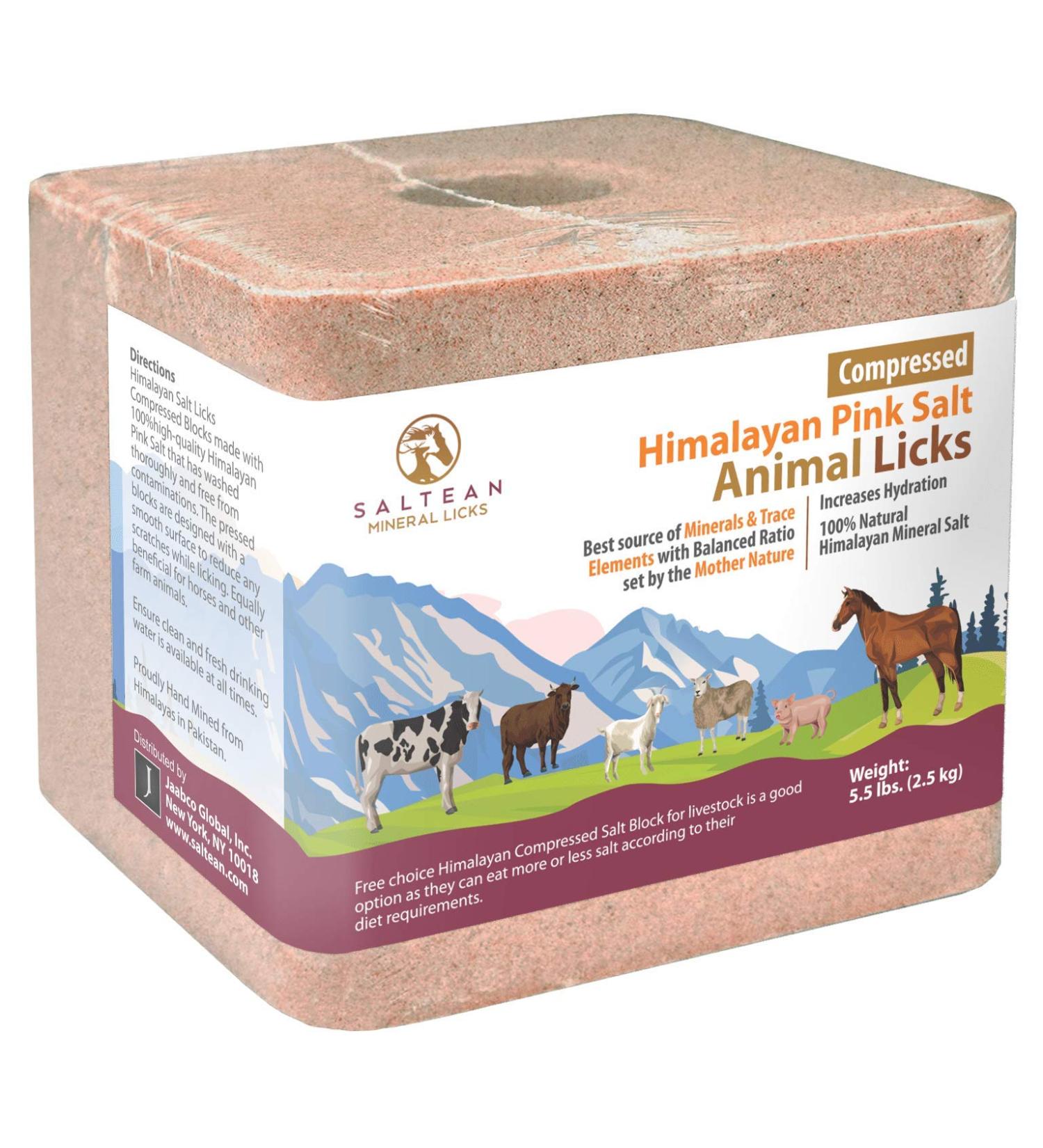 SALTEAN 2.5kg Compressed Himalayan Pink Salt Lick with Rope - Natural Salt from Salt Range Pakistan - Buy Online on GoSupps.com
