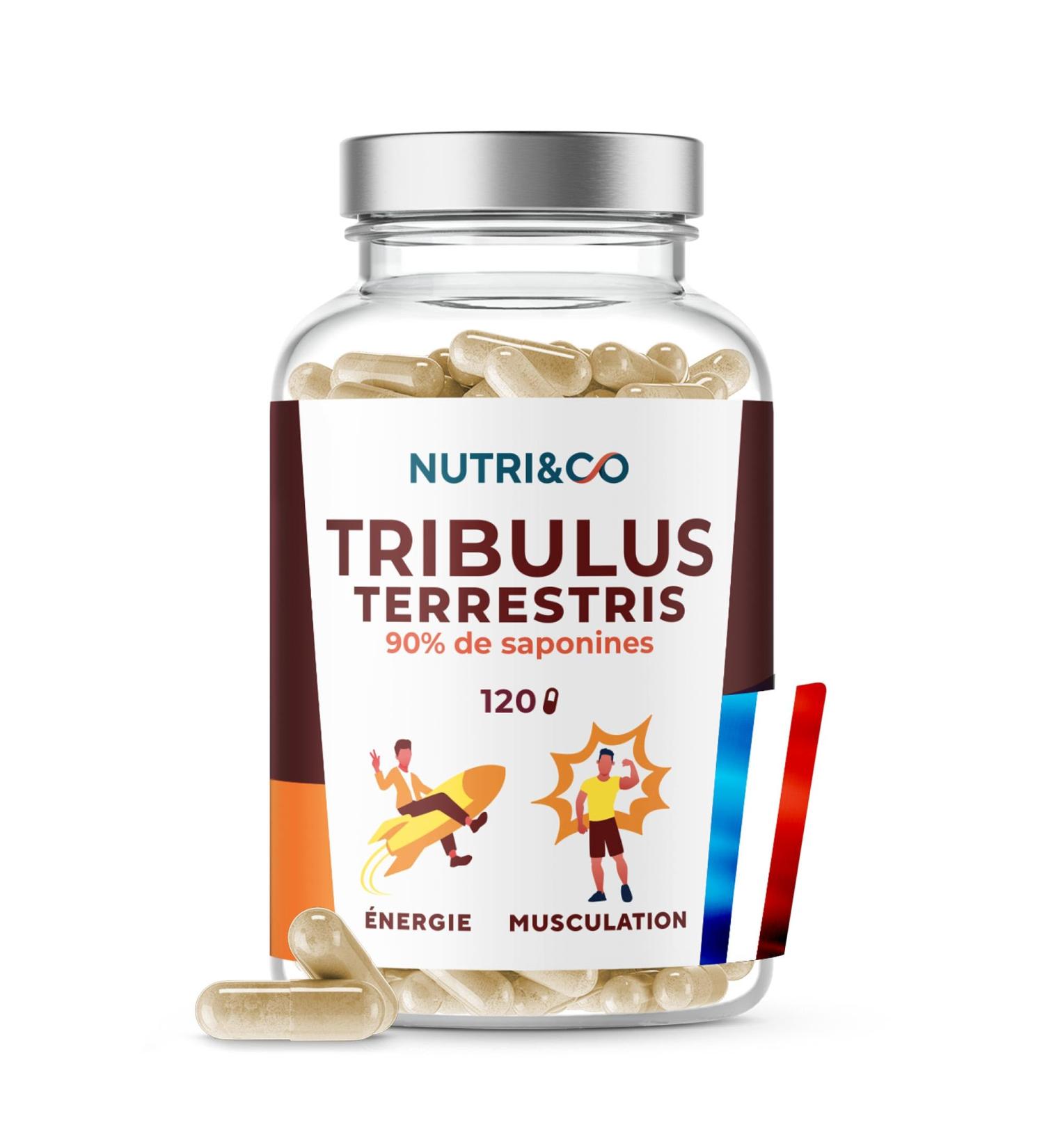 NUTRI & CO Tribulus Terrestris - 90% Saponins - 100% Natural Concentrated Extract 10:1 - Endurance Energy Muscle Growth & Heart Health - 120 Vegan Capsules - Made in France - Buy Online on GoSupps.com
