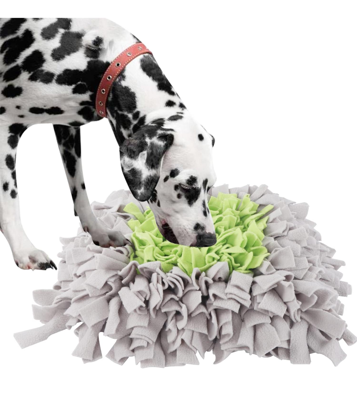 IEUMLER Sniffing Carpet for Dogs & Cats - Smell Training Mat (45x45cm Gray & Green) - Enhance Pet Training & Enrichment - Buy Online on GoSupps.com
