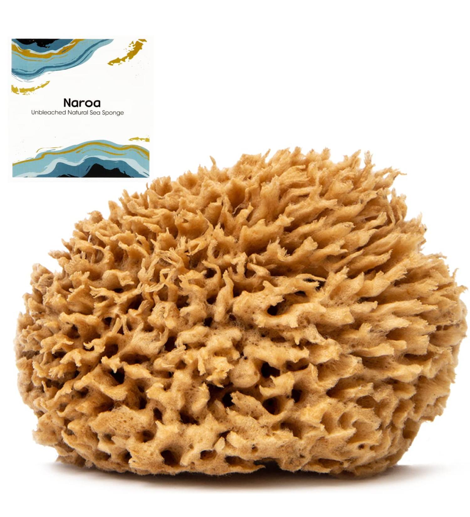 Naroa Natural Sea Sponge (X Large) | Unbleached Body Scrubber Puff for Healthy Skin | Eco-Friendly Bath Sponge for Men and Women - Buy Online on GoSupps.com