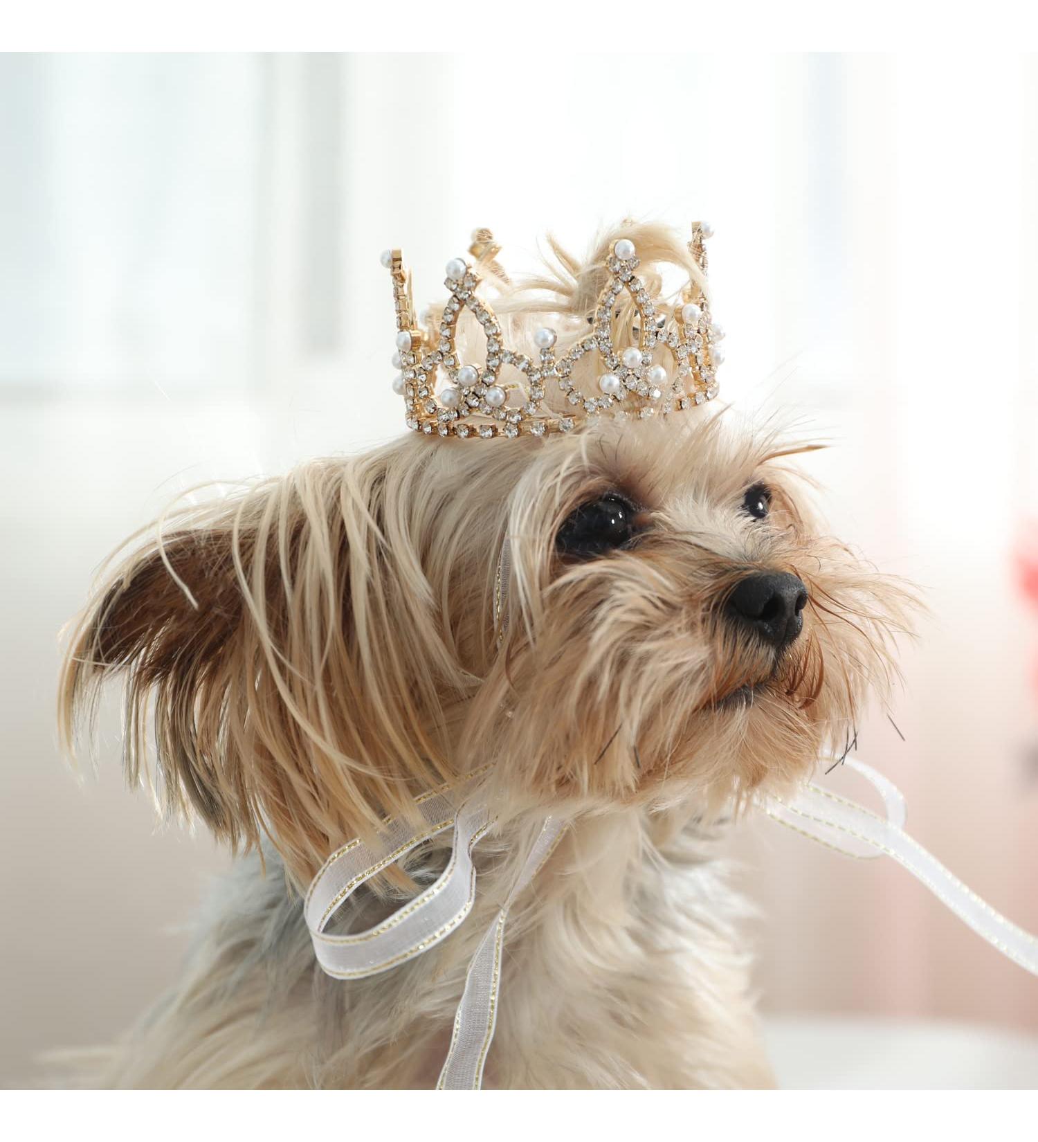 Lovelyshop Phallus Collection: Gold-Plated Royal Saury Pearl Hair Accessories for Dogs & Cats - XS Size - Buy Online on GoSupps.com