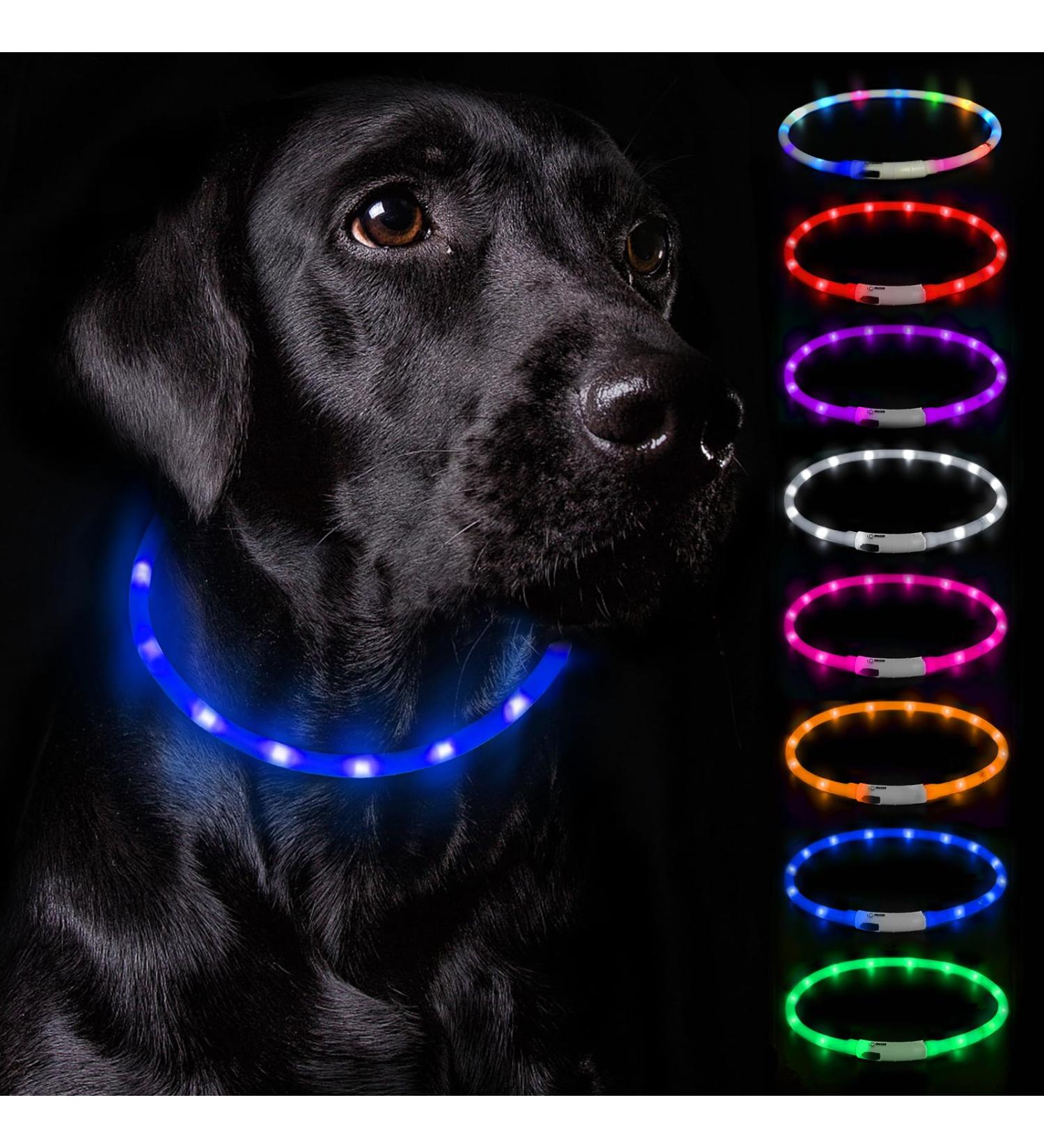 Nepfaivy Luminous Hand Hund USB Charging Waterproof Dog Collar - Adjustable LED Collar with 3 Lighting Modes for Safety - Blue Silicone - Buy Online on GoSupps.com