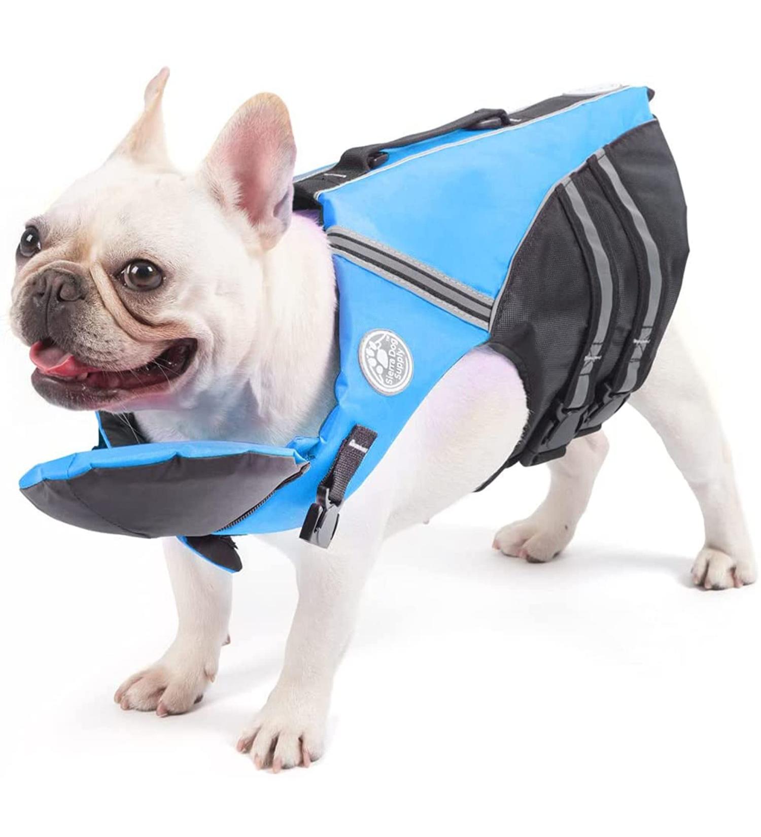 Petglad French Bulldog Life Jacket - Dog Life Vest with Handle & Reflective for Swim, Pool, Beach, Boating - Blue (Chest Girth 16.5-29.5) - Buy Online on GoSupps.com