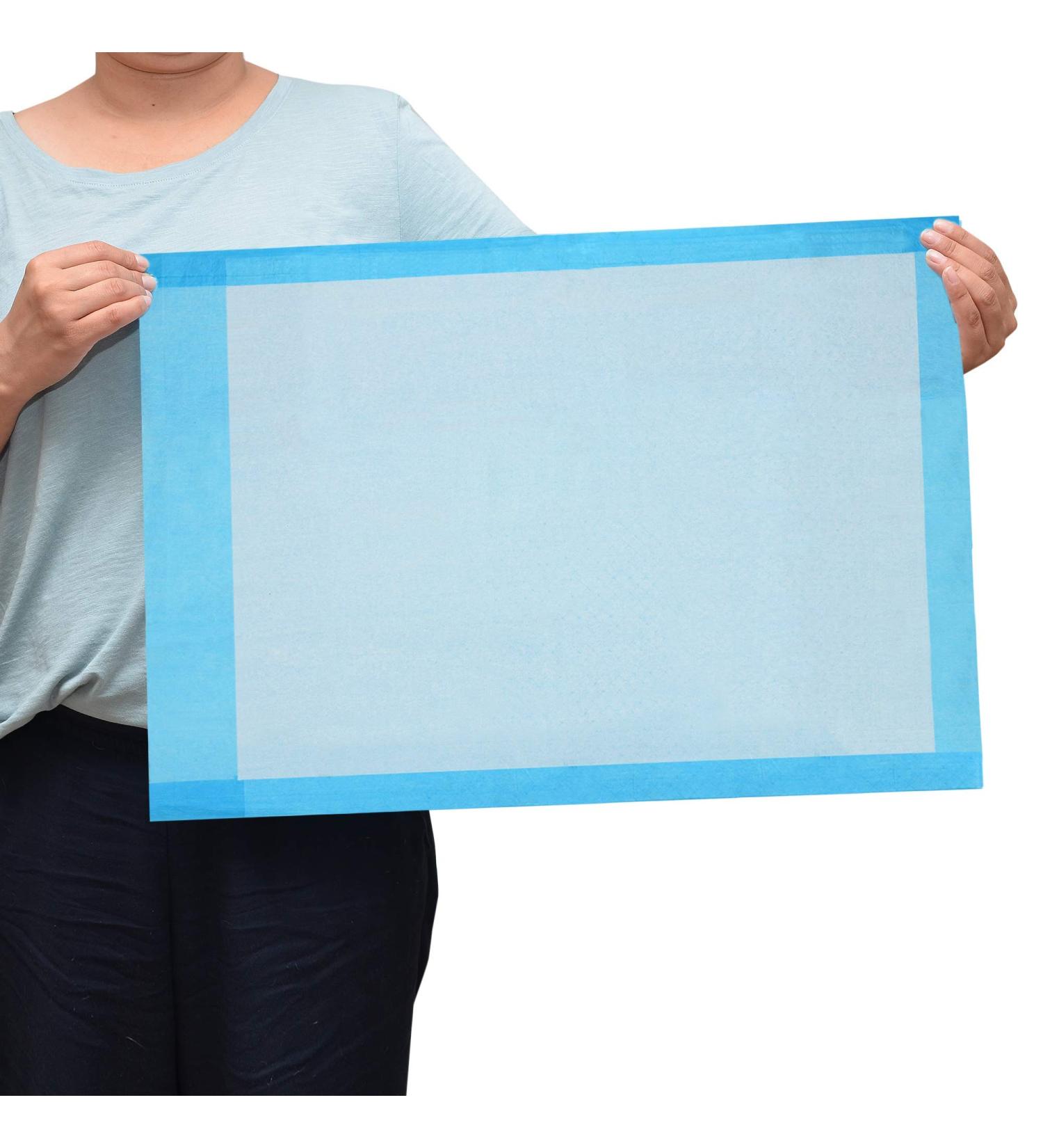 Dealmed Disposable Underpads 24x17 - 100 Count, Blue, Non-Sterile 2-Ply Tissue Fill | Standard Absorbency for Pet Pads & Furniture Protection - Buy Online on GoSupps.com