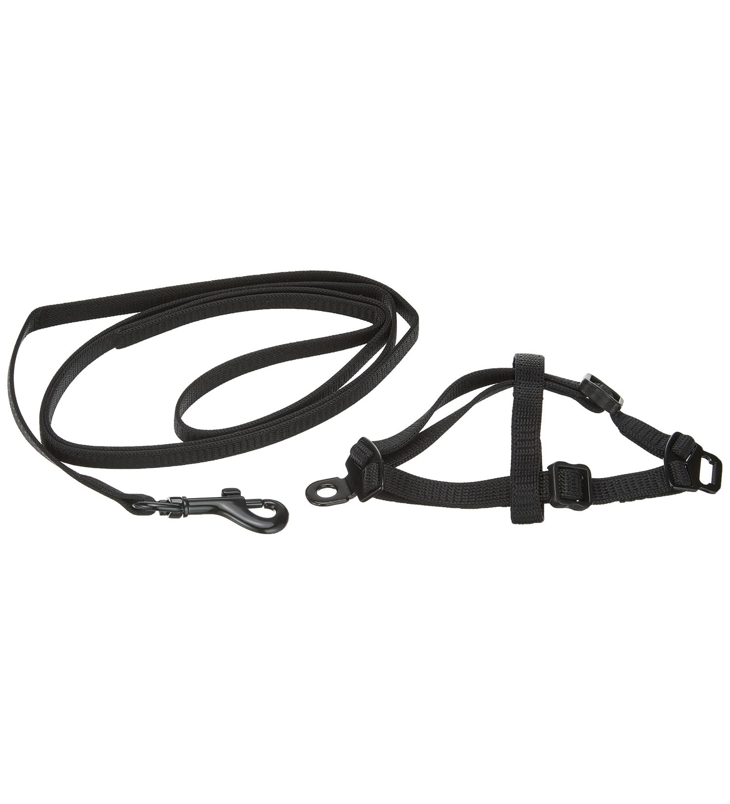 Nobby Nylon Ferret/Rat Set - Durable & Stylish Black Pet Accessories for Your Furry Friends - International Shipping Available - Buy Online on GoSupps.com