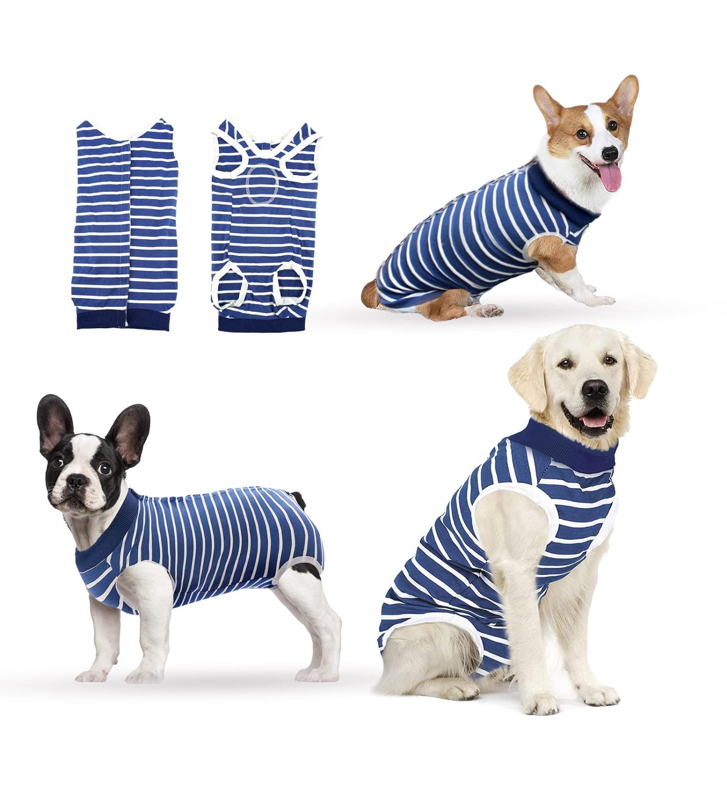 Hipet Recovery Suit for Dogs & Cats | Post-Operation Care | Prevent Licking & Wounds | Male/Female | E-Collar Alternative (S Blue Striped) - Buy Online on GoSupps.com