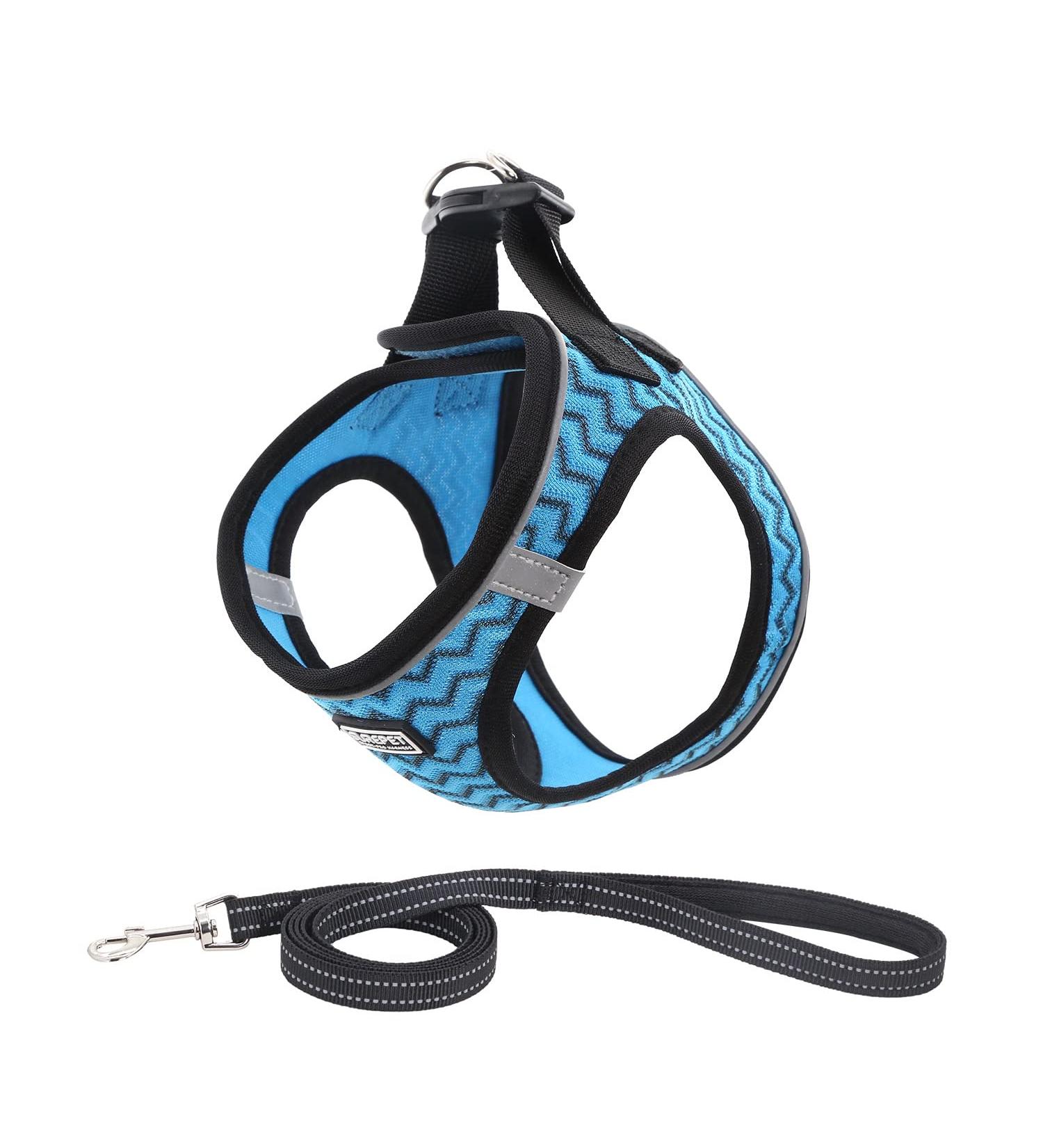 Suredoo Dog Harness with Leash - Reflective Anti-Train Chest Harness for Small Dogs Puppies and Cats (XXS - Blue Wave) | International Shipping - Buy Online on GoSupps.com