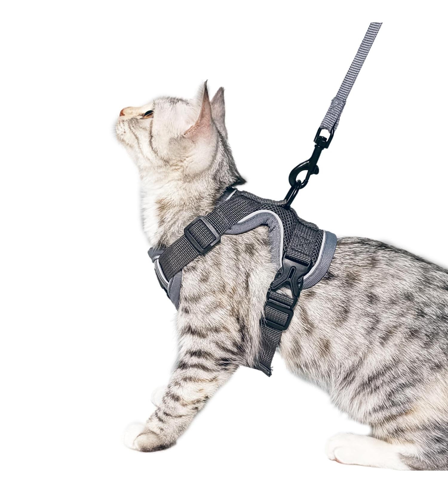 Pangdi Cat Dishes & Leash Set | Tactical Outbreak-Proof Emotional Support Kitten Vest | Gray Large | International Shipping Available - Buy Online on GoSupps.com