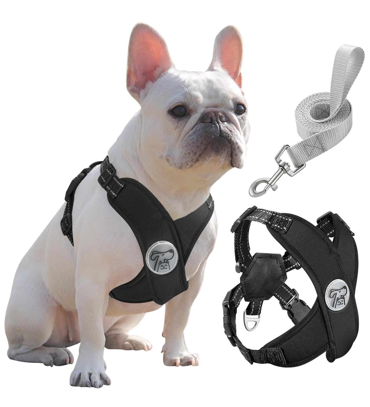 Pawaboo Dog Harness & Leash Set | Adjustable Anti-Train Vest for Small & Medium Dogs | Breathable Dog Vest - Large Black - Buy Online on GoSupps.com