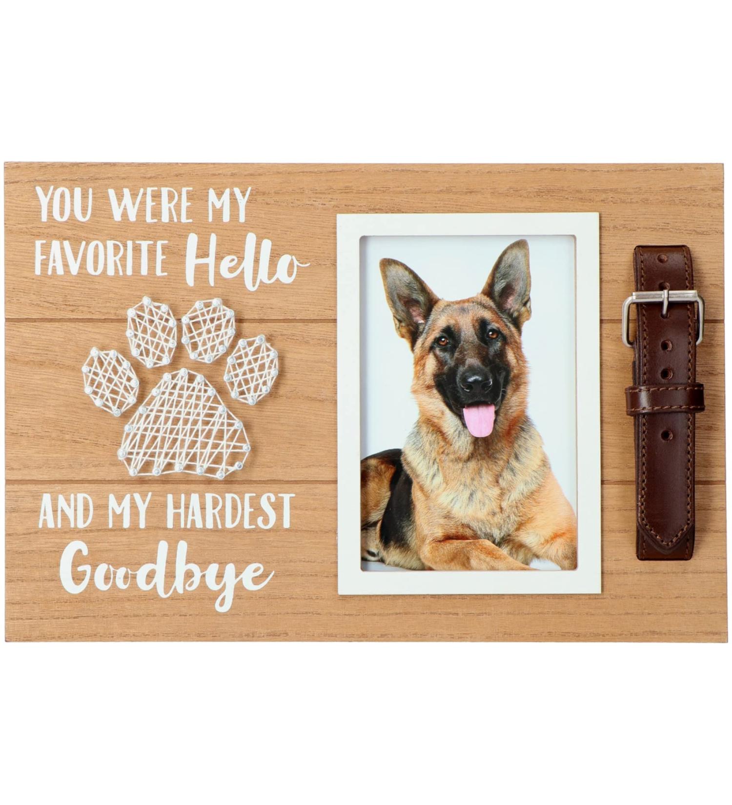 Pet Memorial Picture Frame | Sympathy Keepsake Gift for Loss of Dog or Cat | 6x4 Inches Photo Opening | Collar Mount - Buy Online on GoSupps.com