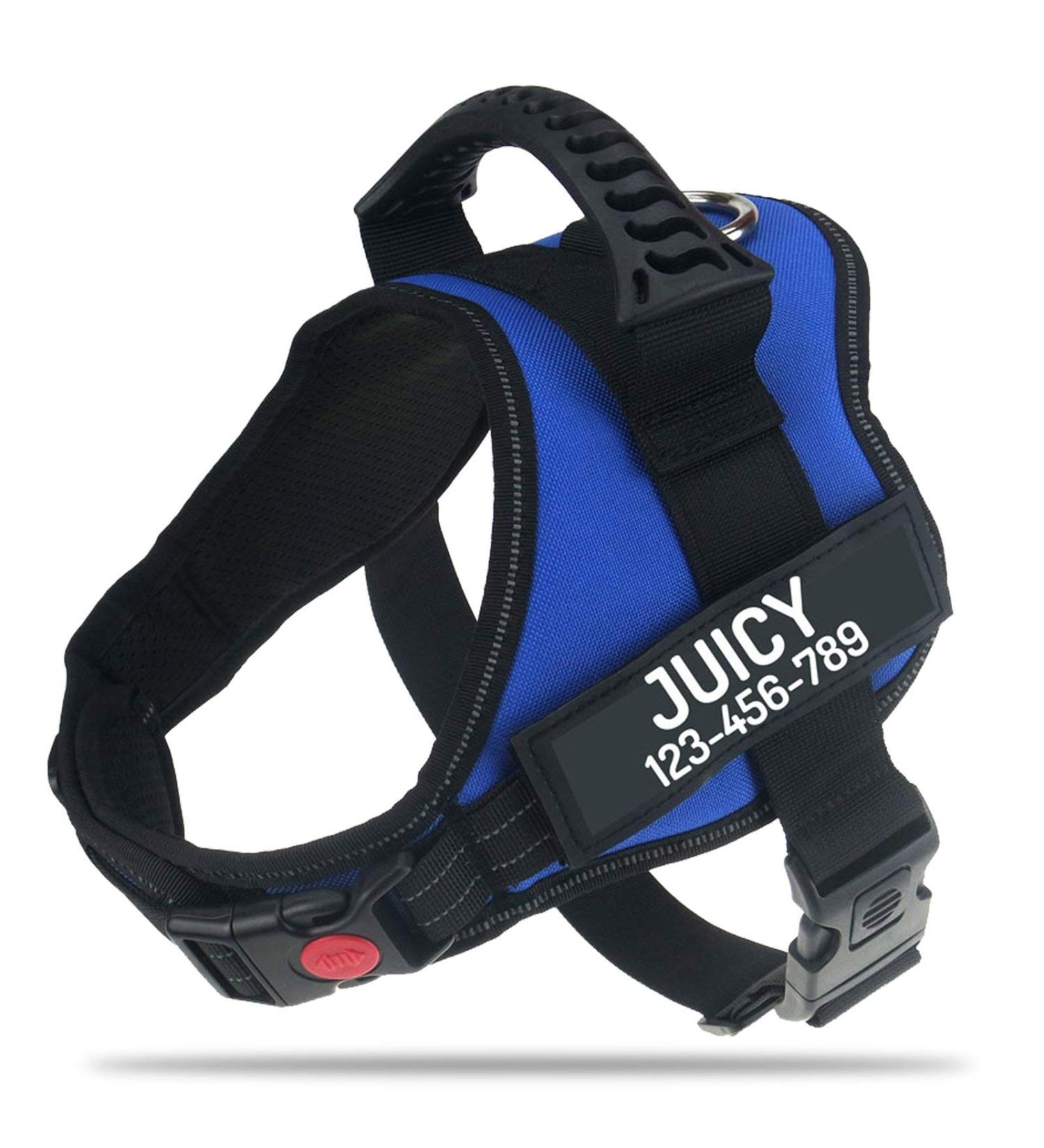 Custom Pawpawify Dog Harness - Anti-Pull Durable XL (32-44in) - Personalized Name & Phone - Perfect for Training & Walking - Blue - Buy Online on GoSupps.com