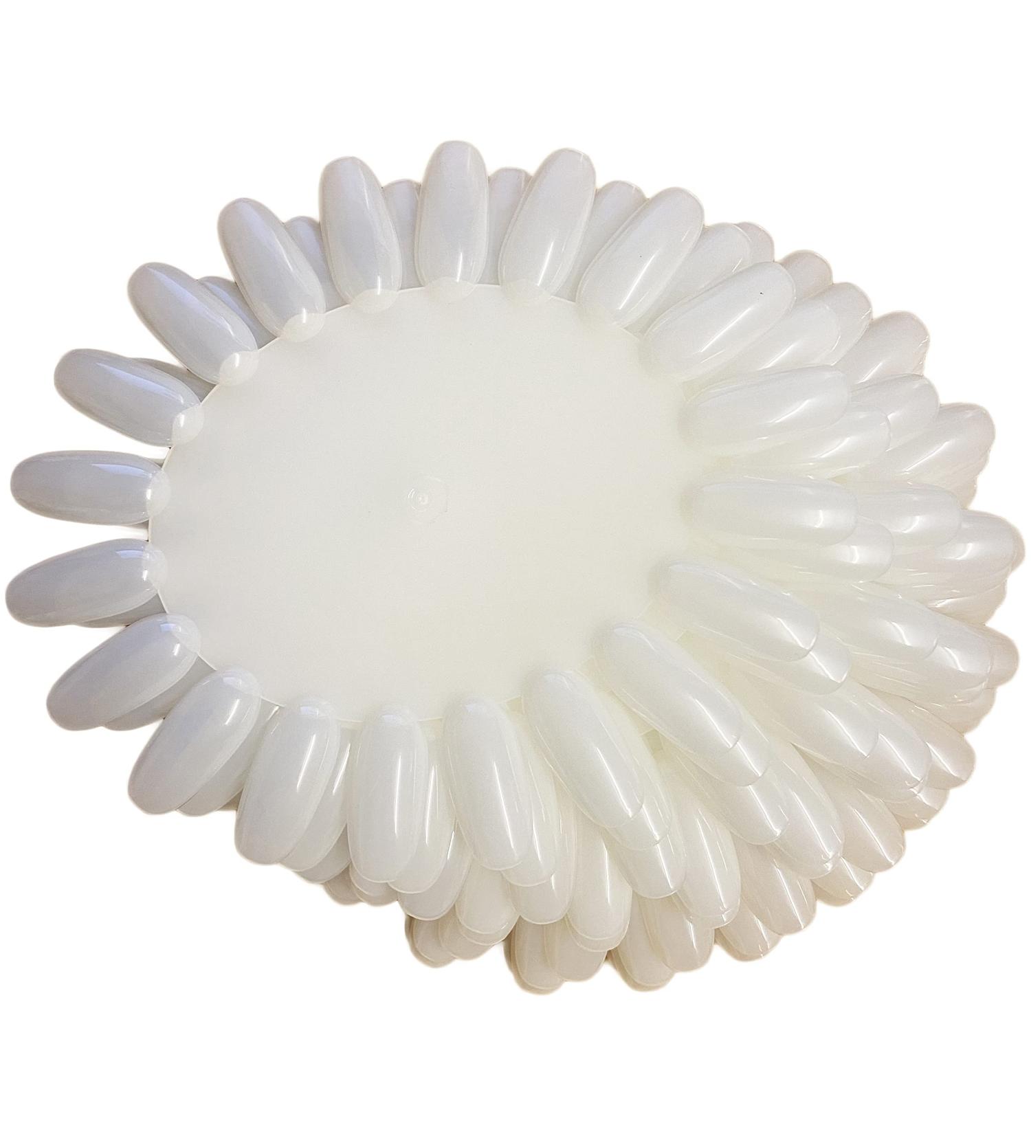 Practice Nail Tips 200 Practice Nails for Nail Art Nail Wheel Practice Nail Tips Nail Swatch Ring Plastic Nail Swatches and Nail Art Display Discs x 10