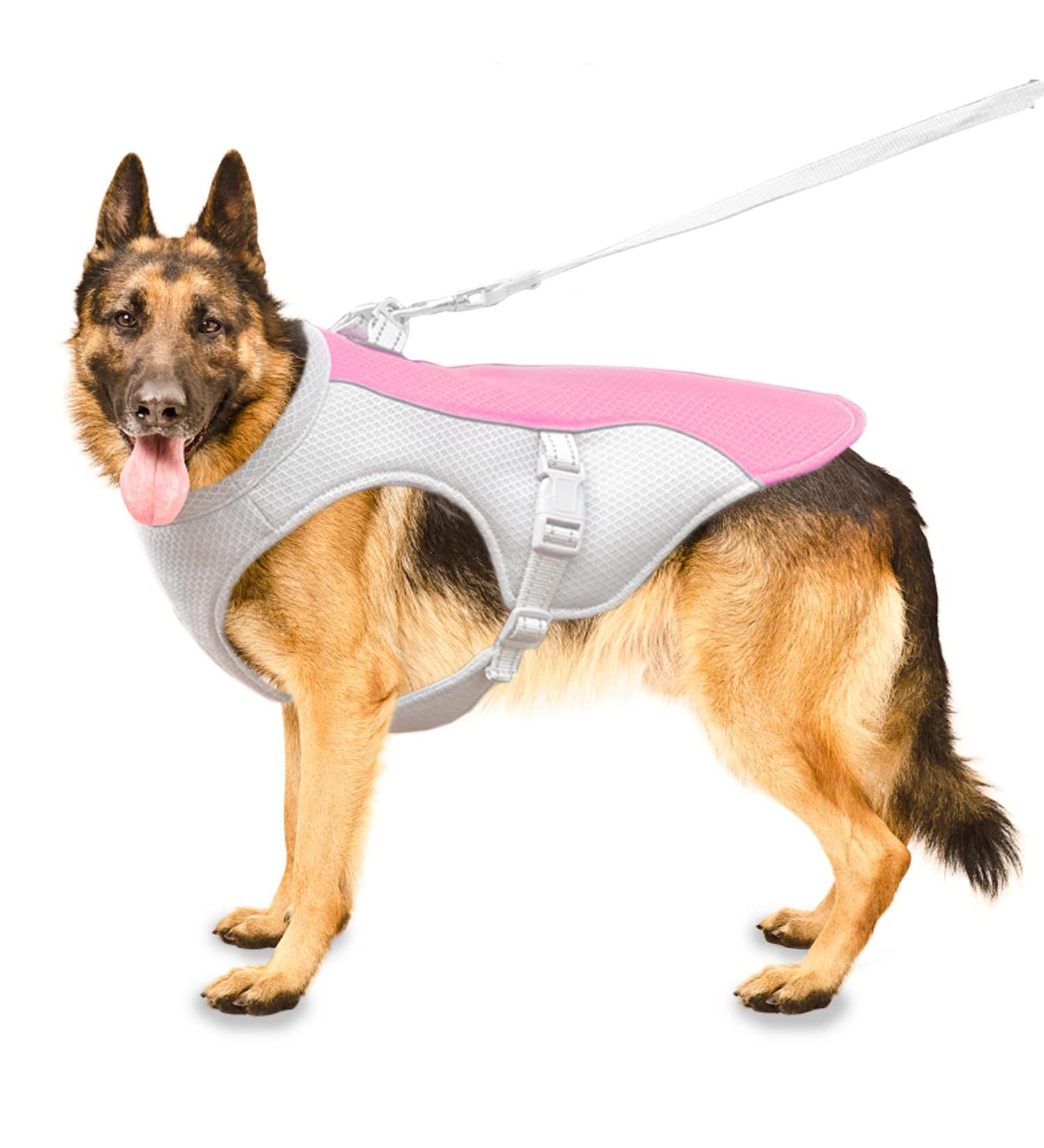 Adjustable Dog Cooling Vest & Coat for All Breeds - XL Pink - Perfect for Hot Weather & Sports - Buy Online on GoSupps.com