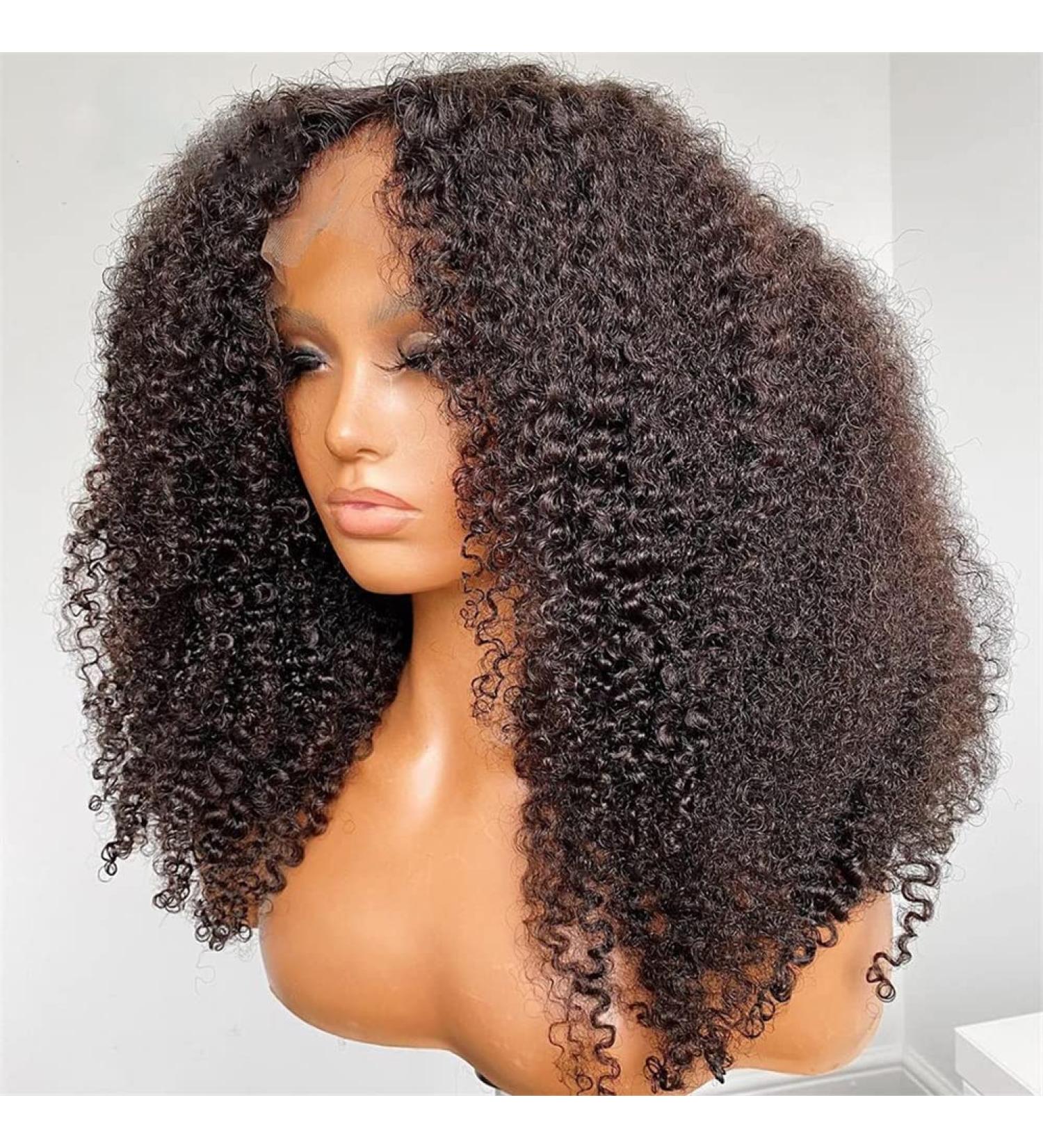 Msgem 24 Brazilian Kinky Curly Lace Front Wig for Black Women | 100% Unprocessed Virgin Human Hair | Pre Plucked with Baby Hair | 150% Density - Natural Color - Buy Online on GoSupps.com