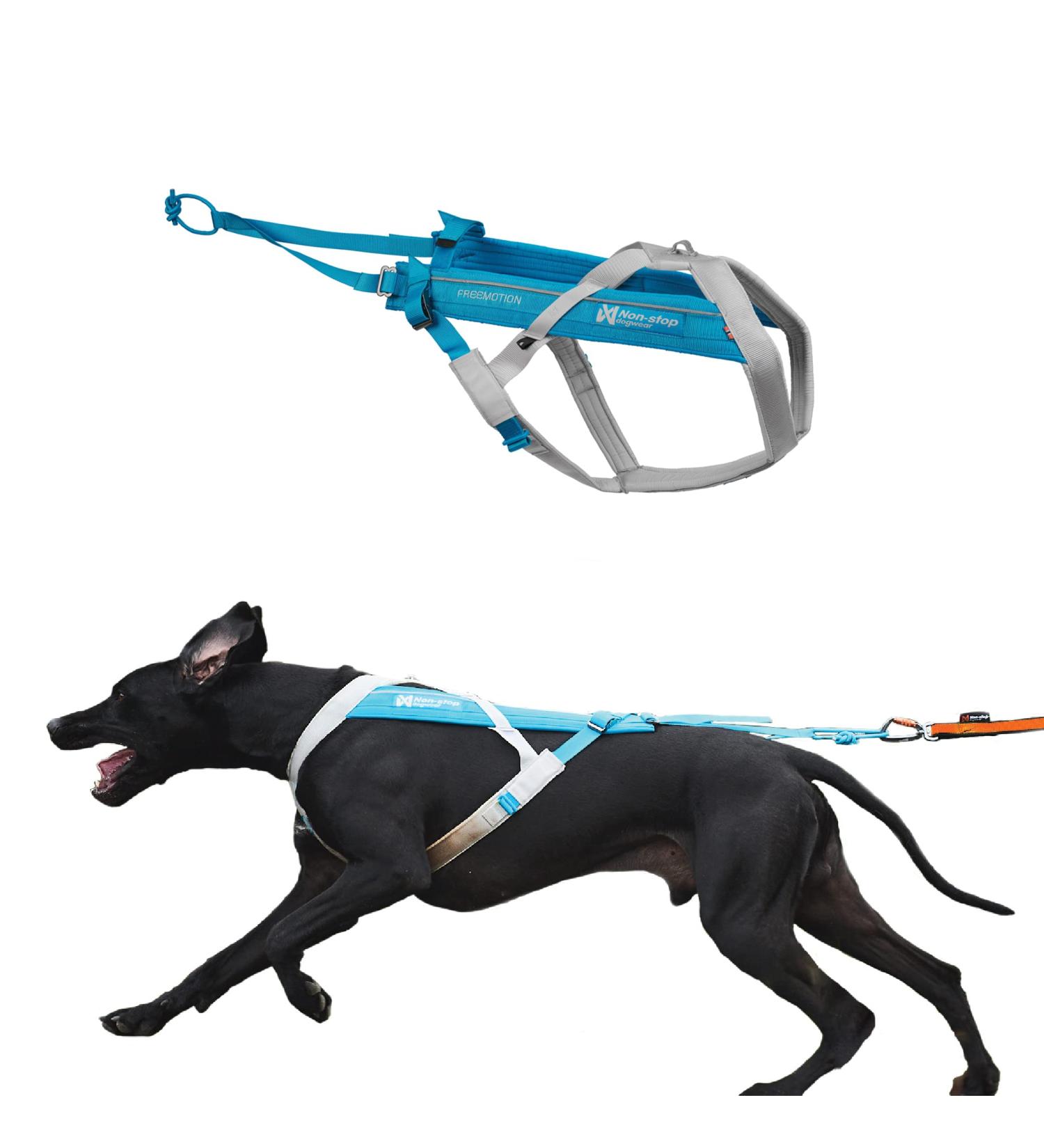 Non-stop dogwear FREEMOTION Harness 5.0 | Blue/Grey | Sport Dog Harness | Size 9 | International Shipping Available - Buy Online on GoSupps.com